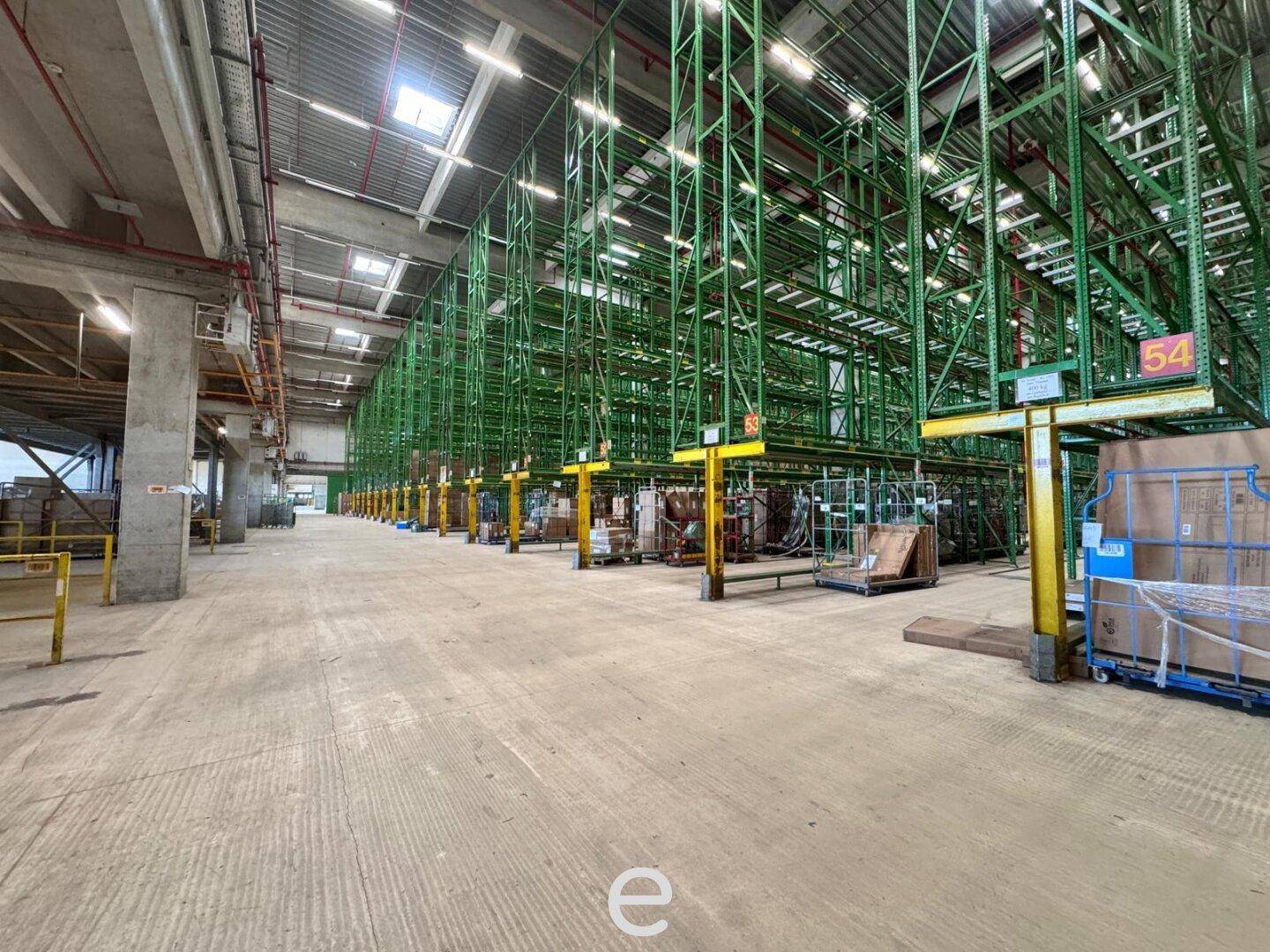 Geräumige Lagerhalle mit hohen Regalsystemen und Betonboden, gut beleuchtet für effiziente Logistik.