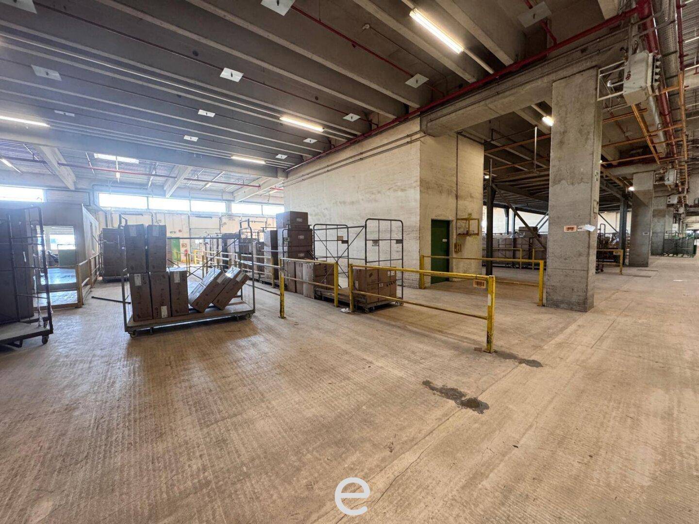 Große, offene Lagerhalle mit Betonboden und hohen Decken, ideal für Logistik und Warenlagerung.