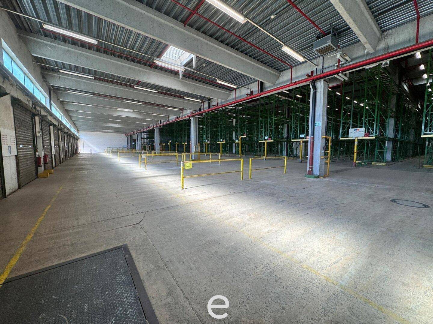 Weitläufige Lagerhalle mit Betonboden und Rolltoren, die viel Platz für Logistik und Lagerung bietet.