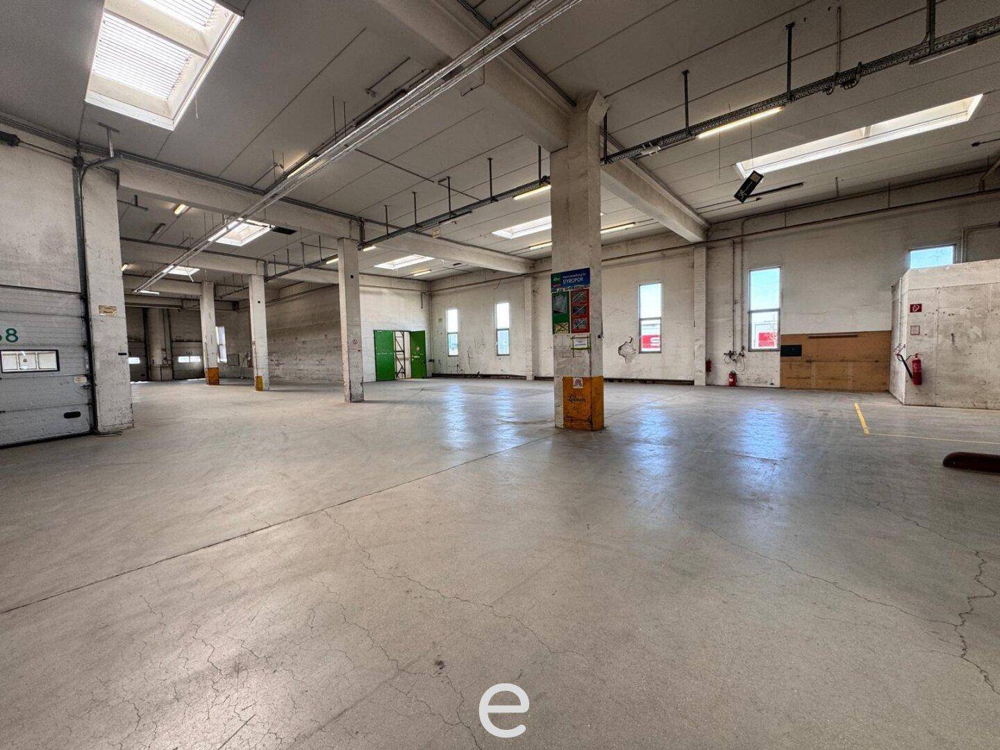 Weitläufige Lagerhalle mit Betonboden, tragenden Säulen und zahlreichen Fenstern sowie Oberlichtern für Helligkeit.