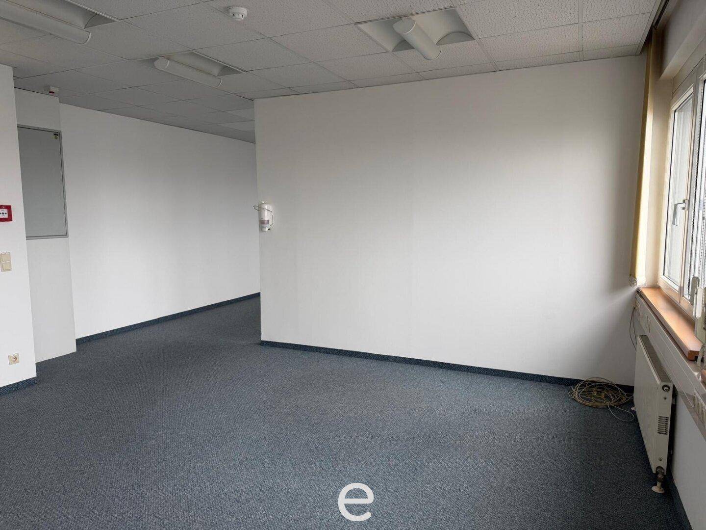 Helles Büro mit Teppichboden und Fenstern, bietet eine ruhige Arbeitsumgebung.