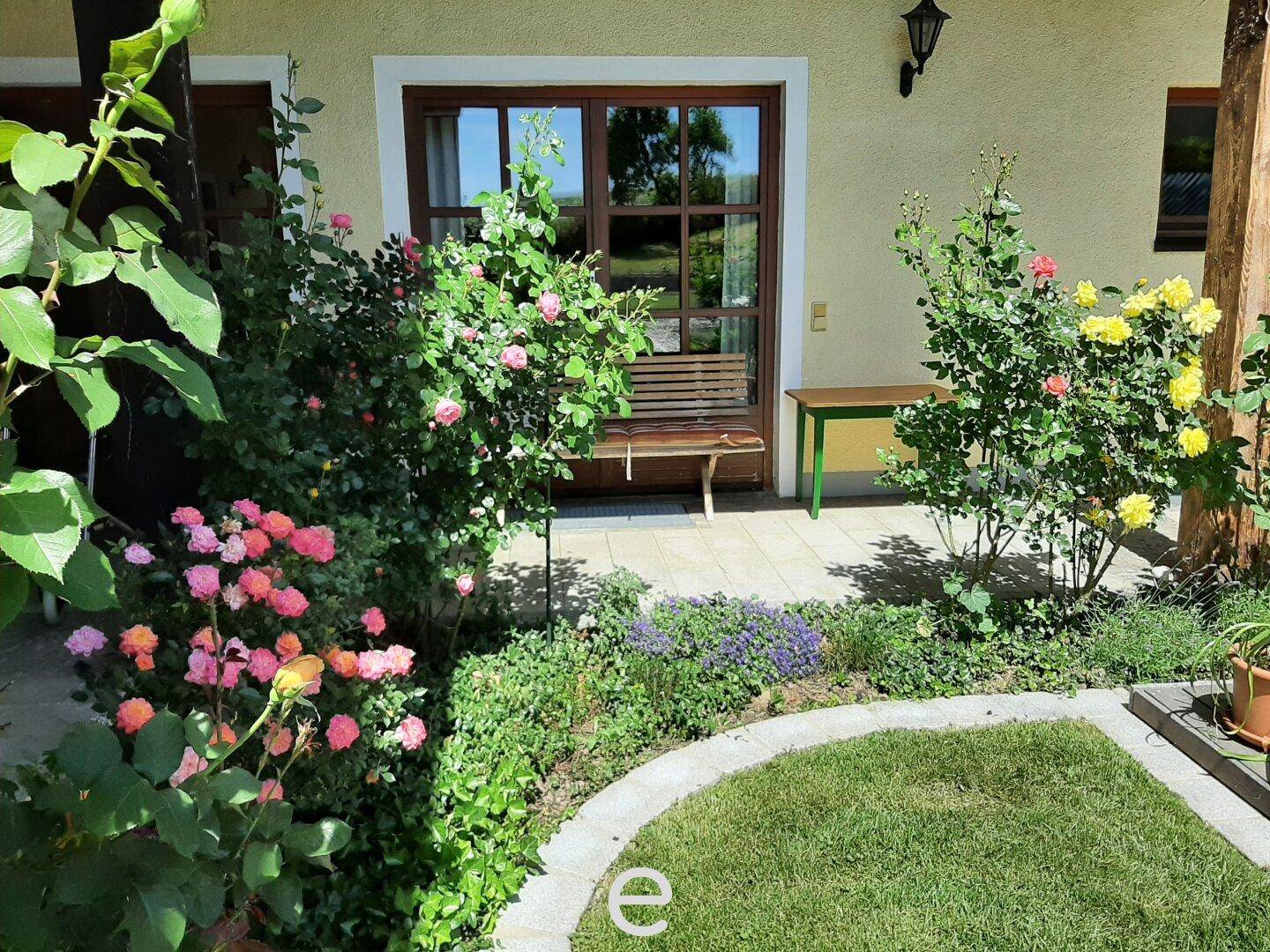 Eingangsbereich des Hauses umgeben von farbenprächtigen Rosenbüschen und Grünflächen.