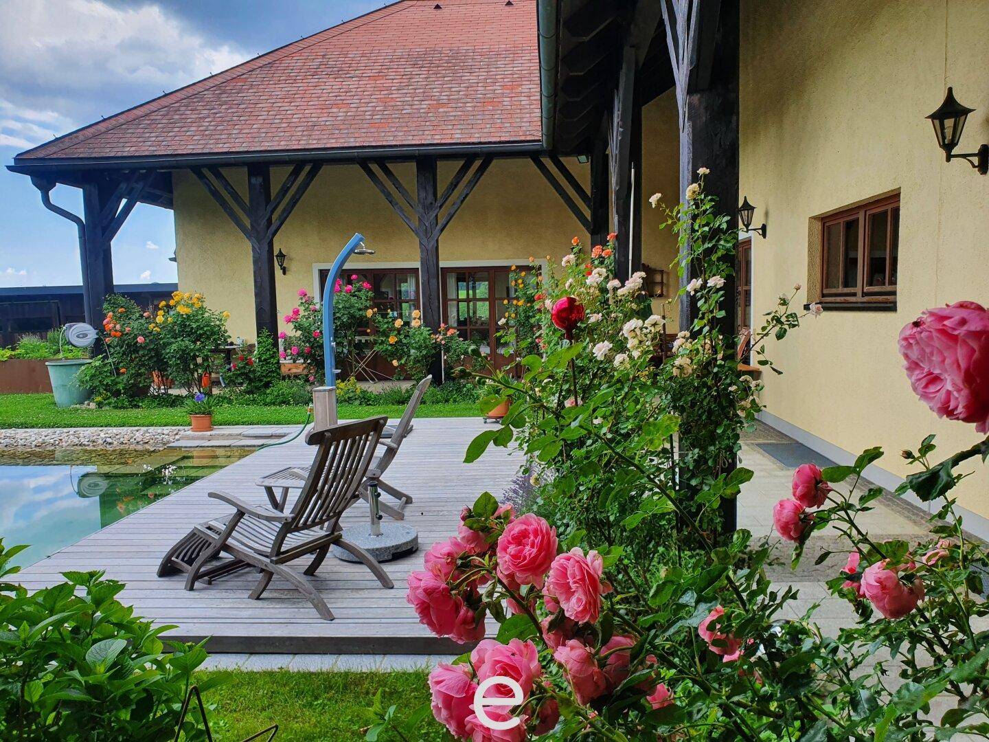 Gemütliche Terrasse mit Holzdeck, Liegestühlen und üppigen Rosenbüschen am Haus.