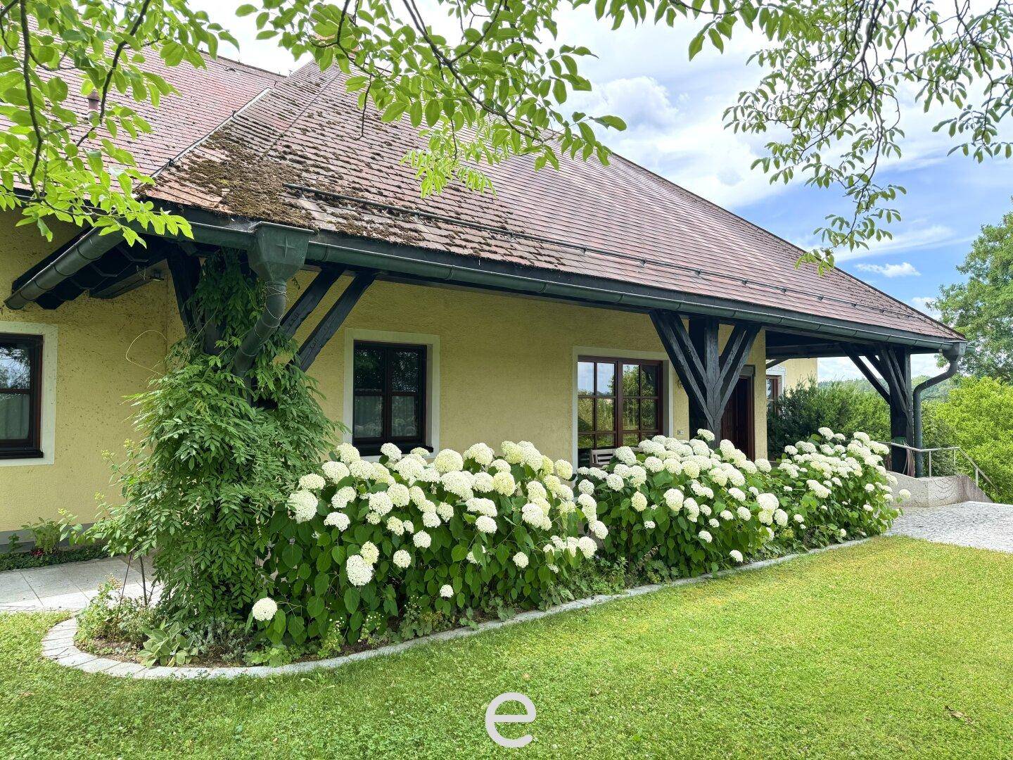 Hausfassade mit überdachtem Eingangsbereich und üppigen weißen Hortensienbeeten.