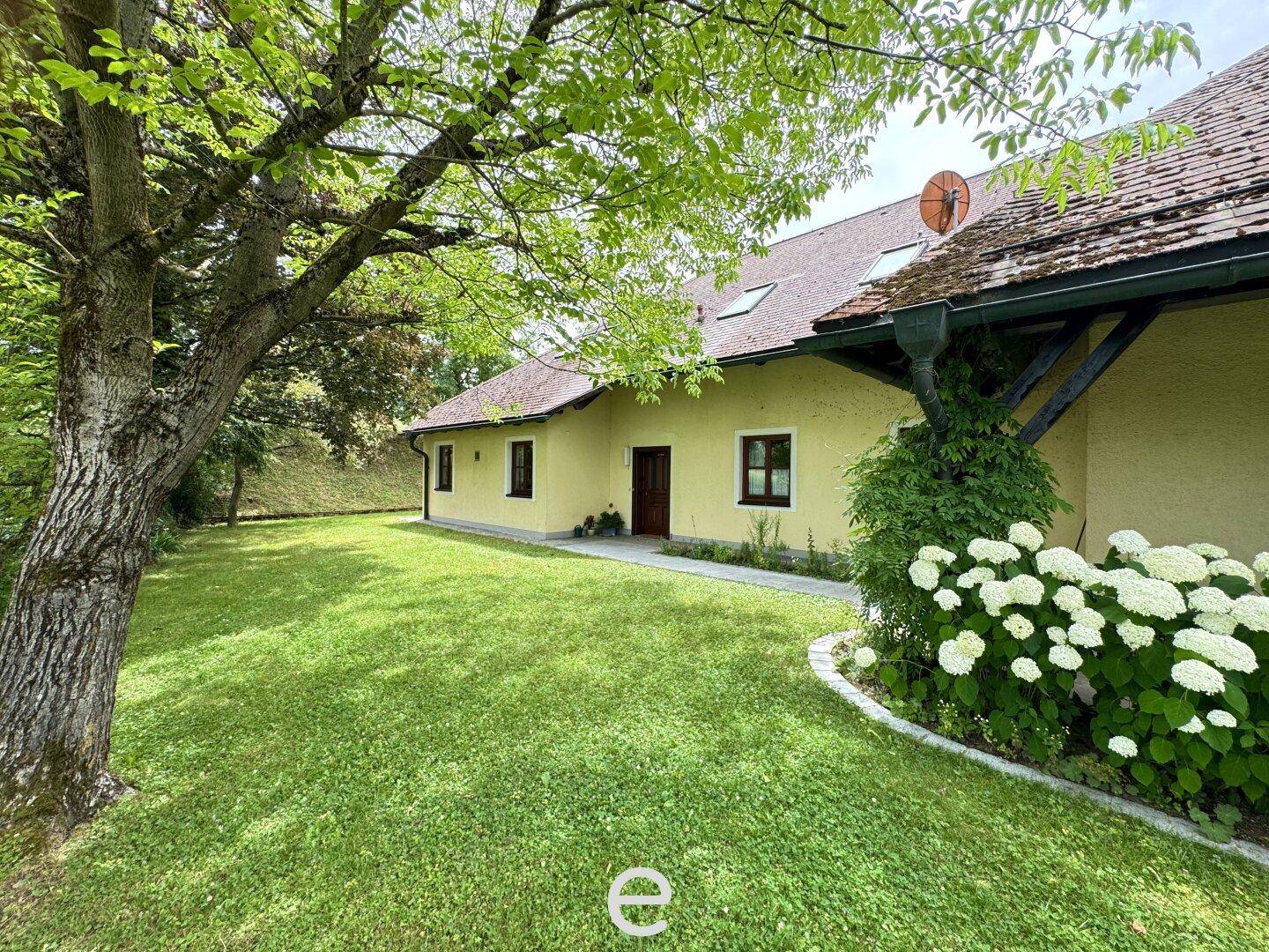 Seitenansicht des Hauses mit weitläufigem Rasen, altem Baum und blühenden Sträuchern.