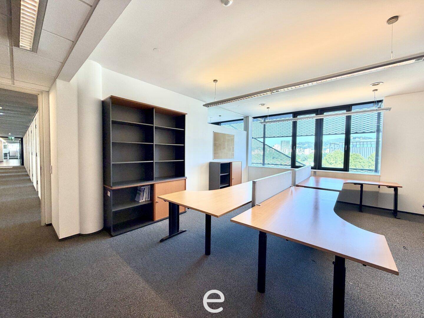 Offener Bürobereich mit mehreren Schreibtischen, Regalen, Teppichboden und großen Fenstern mit Ausblick.
