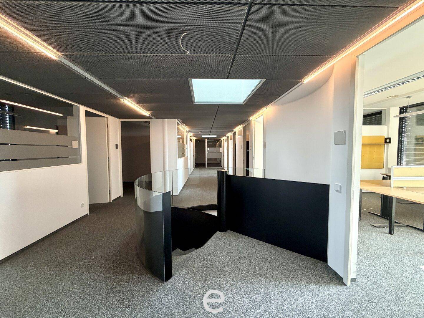 Moderner Büroflur mit Teppichboden, Glasabtrennungen und zeitgemäßer Beleuchtung.