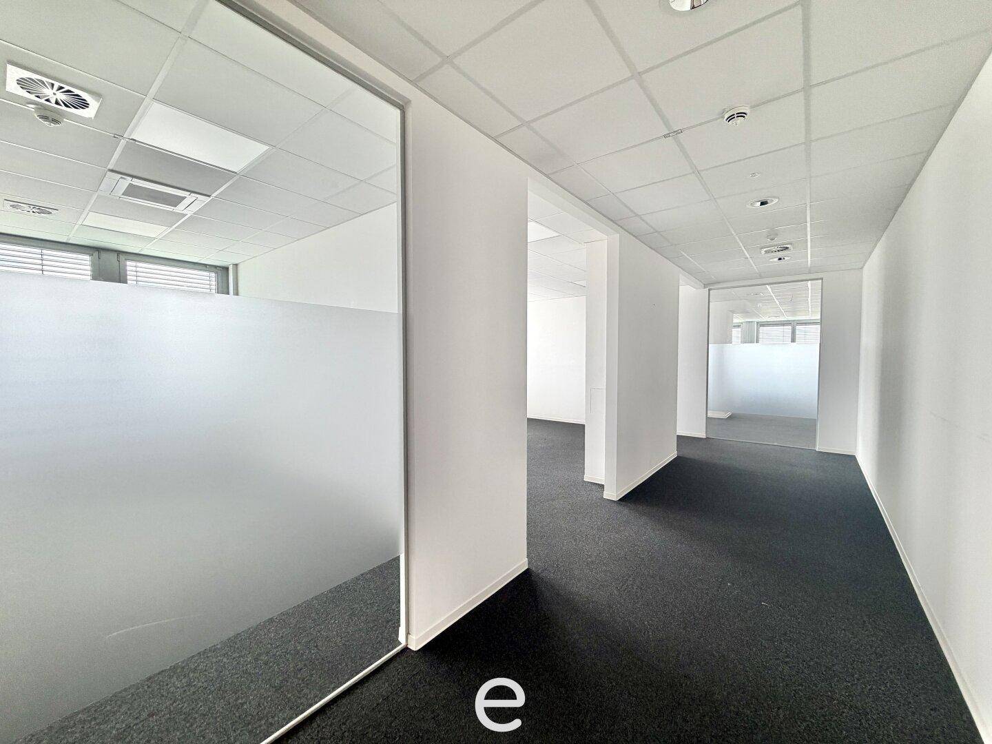 Moderner Bürogang mit dunklem Teppichboden und Trennwänden aus Milchglas, die zu weiteren Büroräumen führen.