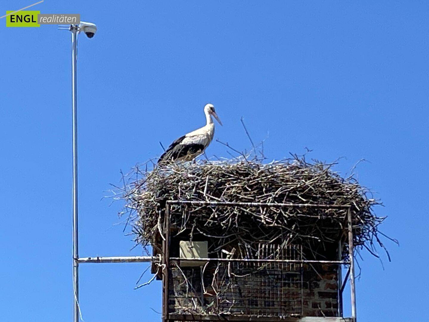 Storchennest auf Nebengebäude