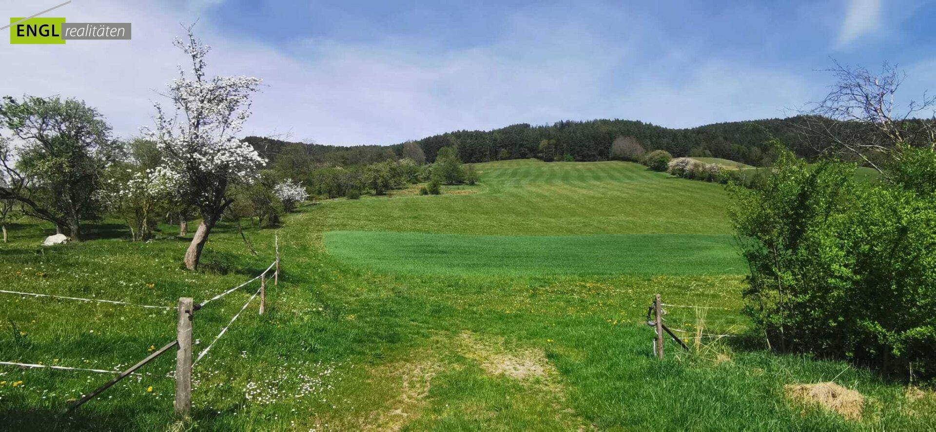 Grünland