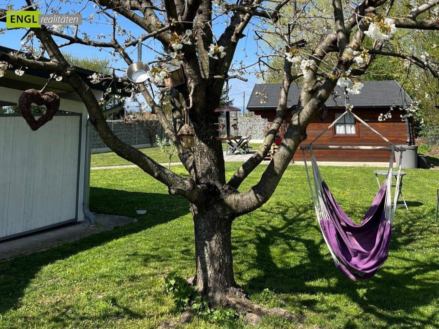 Gartenbereich