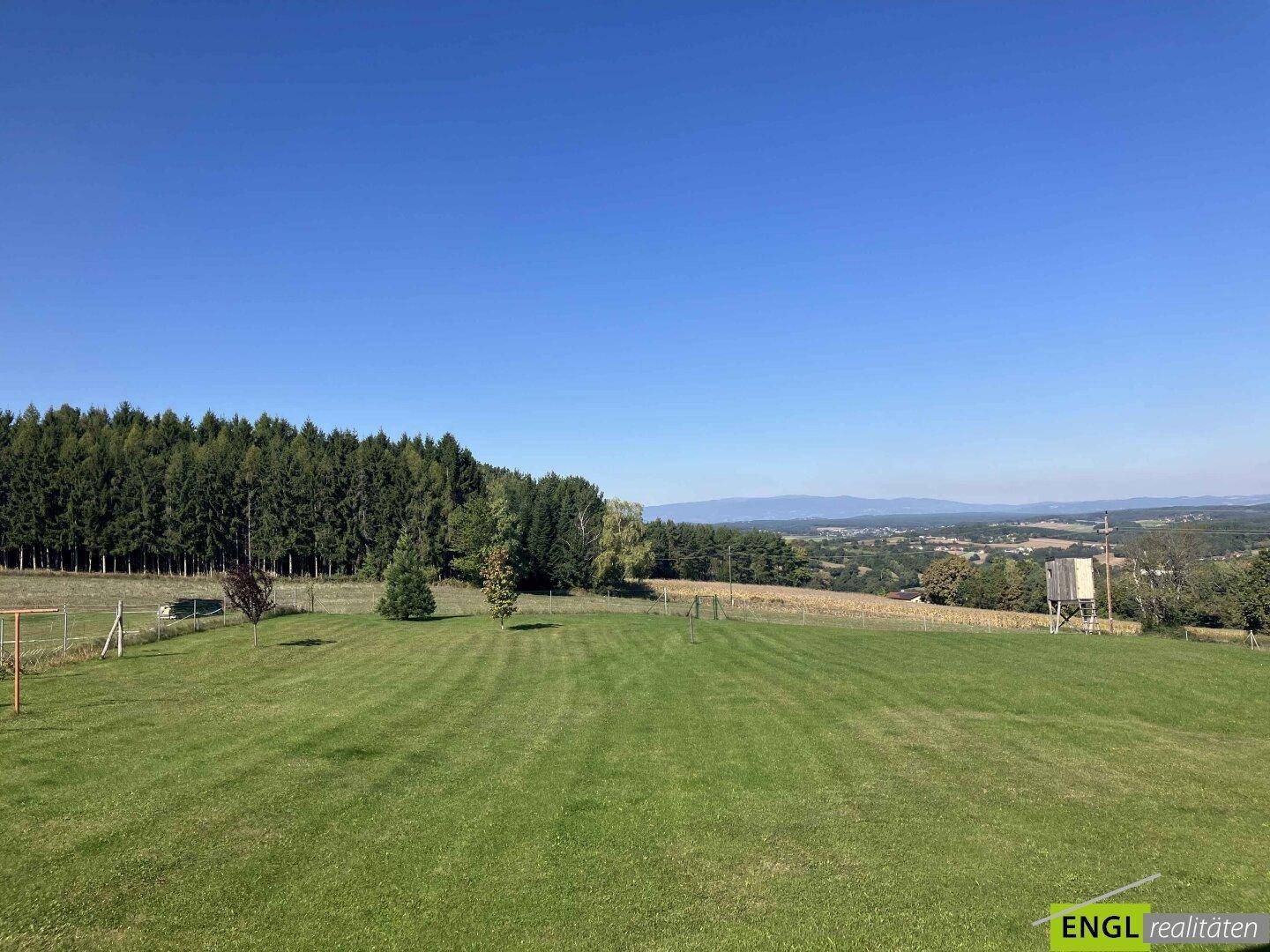 Weitläufige grüne Landschaft mit Waldrand und Fernblick auf die Berge.