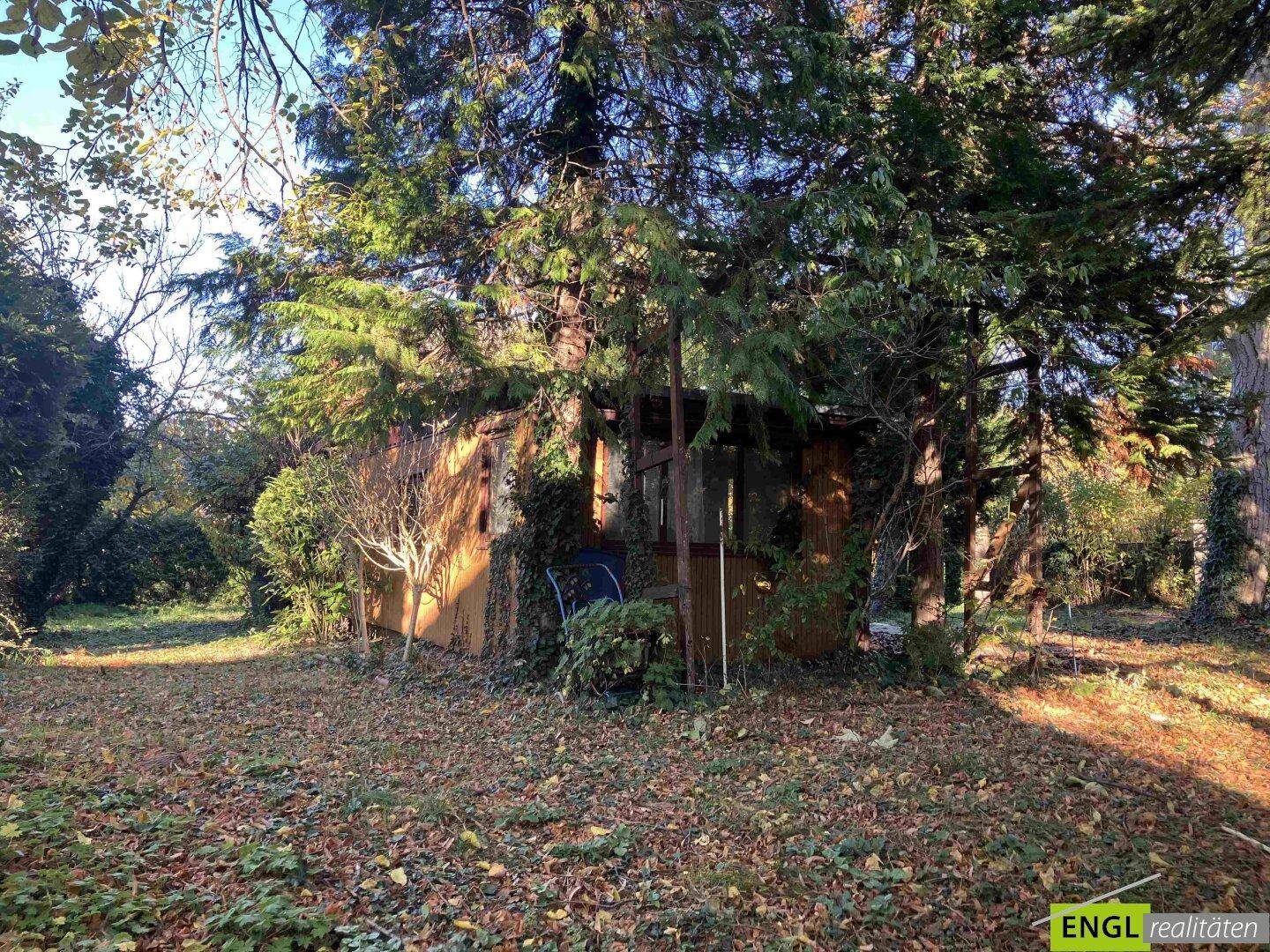 Rustikales Gartenhaus umgeben von dichtem Grün und hohen Bäumen in sonniger Lage.
