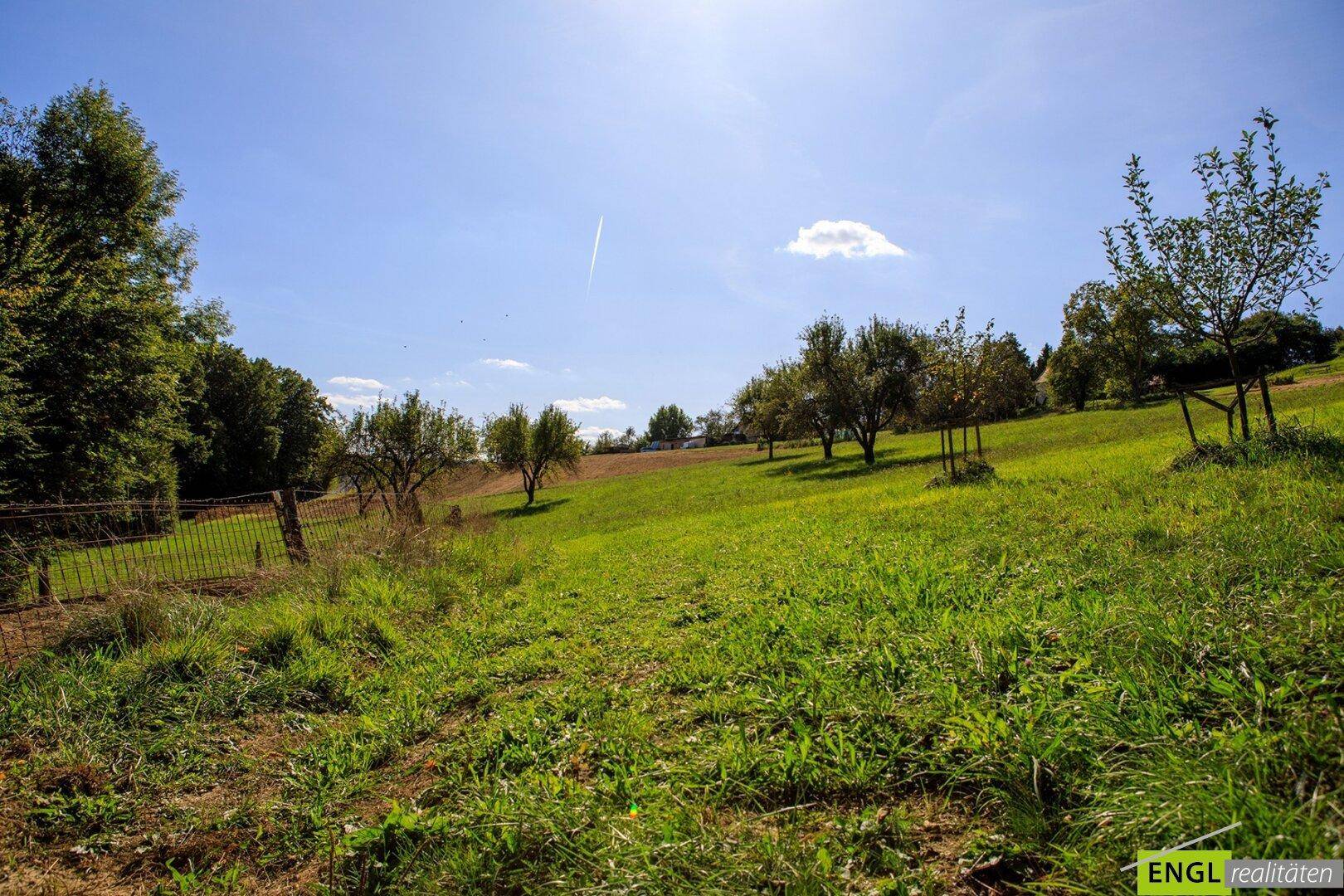 Weitläufige grüne Wiese mit Obstbäumen unter strahlend blauem Himmel, ideal für Naturliebhaber.