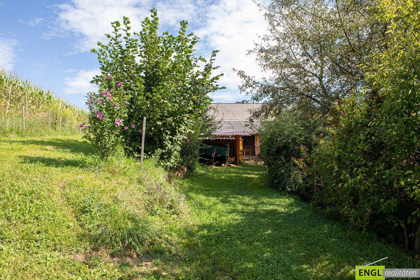 Grüner Gartenweg führt zu einem rustikalen Holzgebäude, umgeben von üppiger Vegetation und Bäumen.