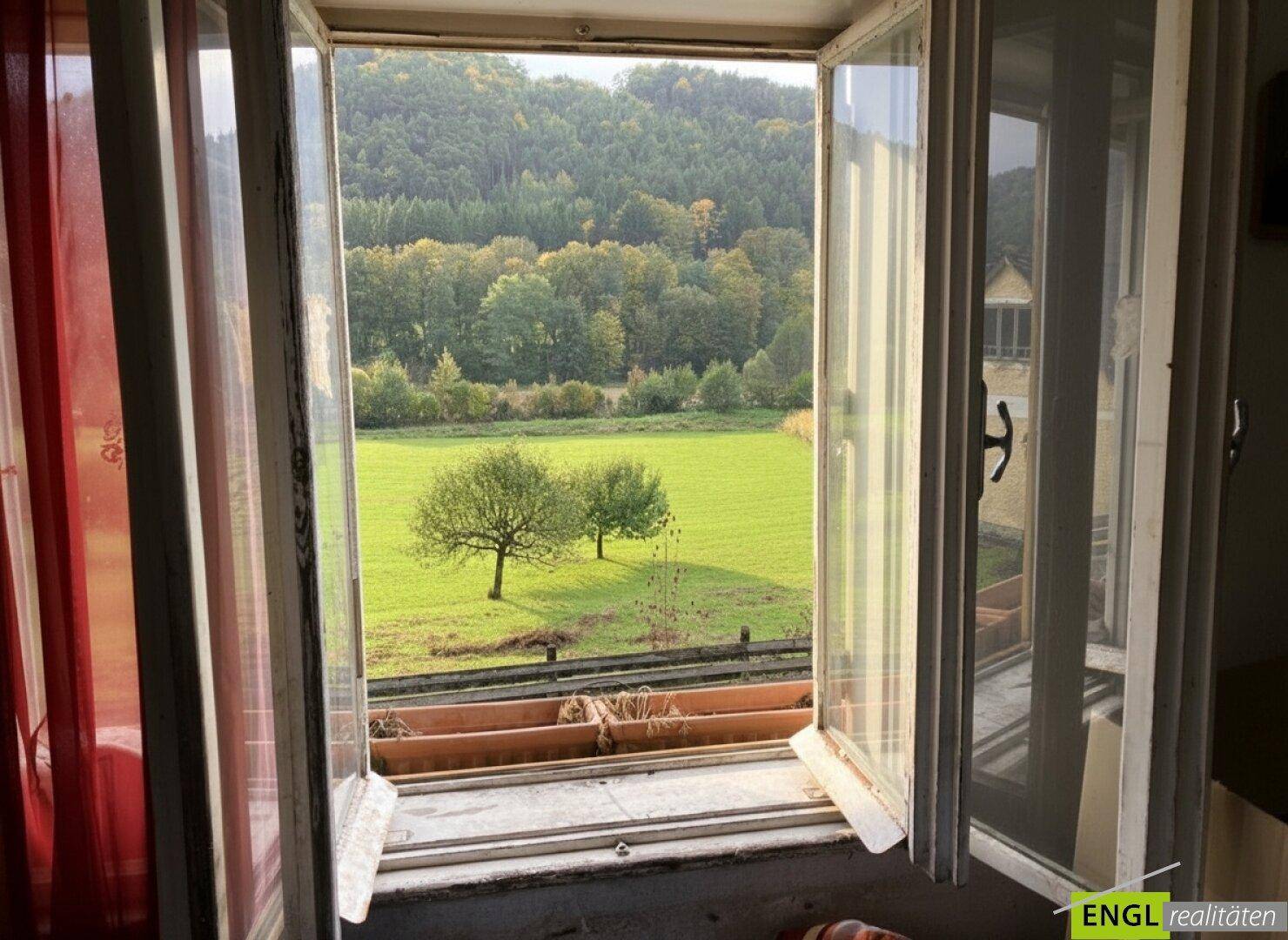 Malerischer Ausblick aus dem Fenster auf grüne Wiesen und bewaldete Hügel.