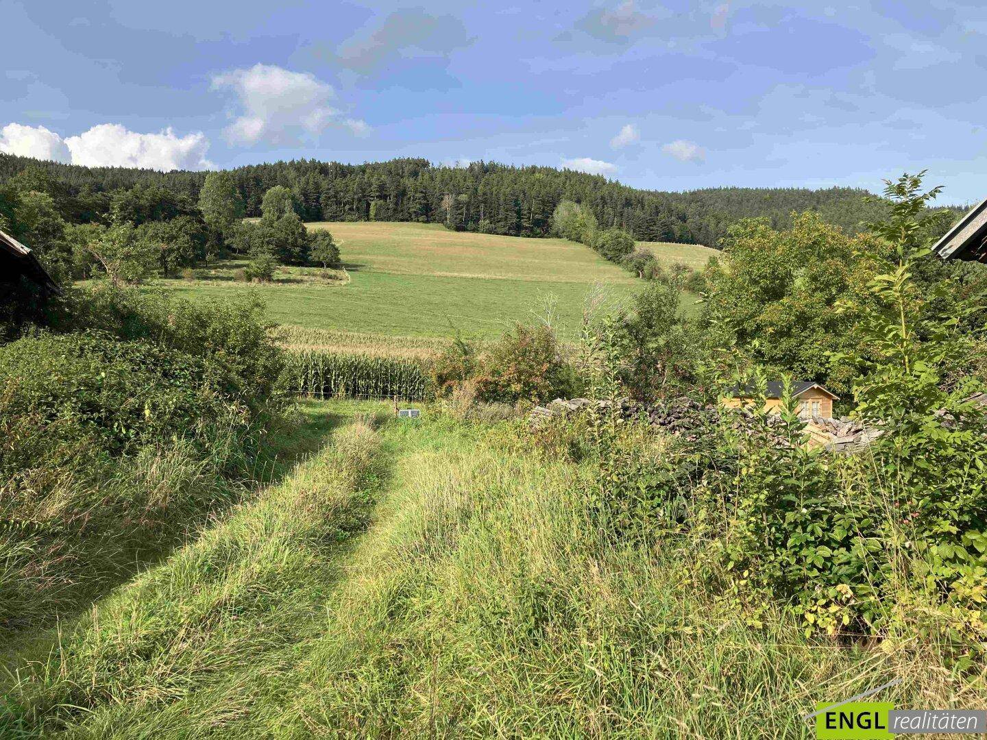 Naturbelassener Gartenbereich mit hohem Gras und Blick auf weite Felder und Wälder.