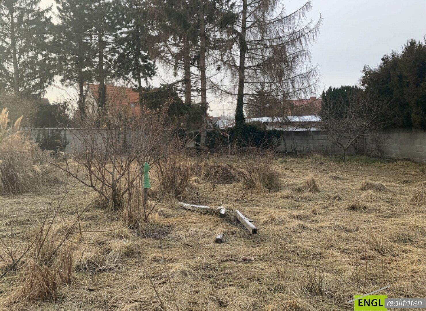 Großer, ungepflegter Gartenbereich mit Bäumen und Sträuchern, umgeben von einer Mauer.