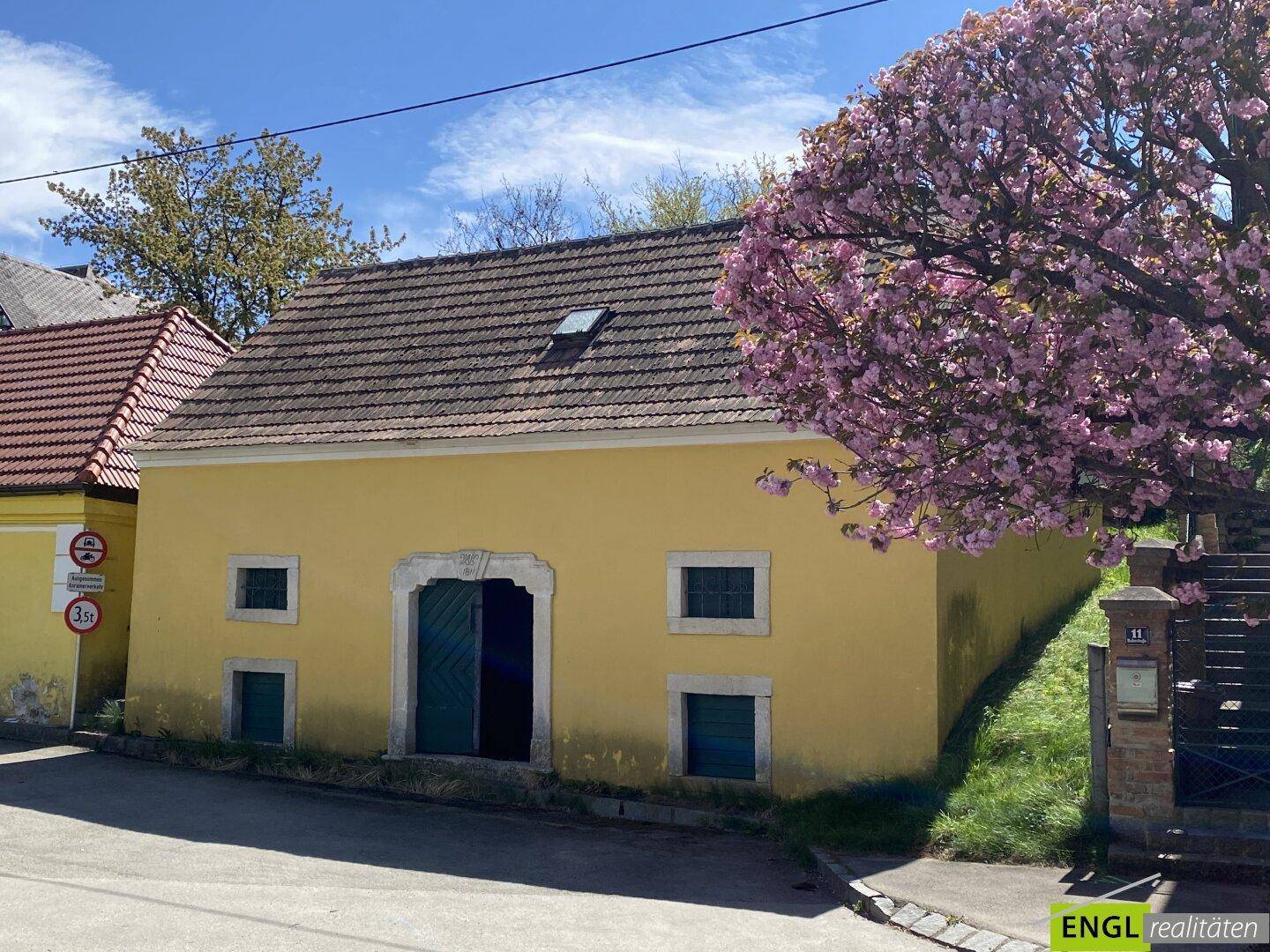 Gelbes historisches Gebäude mit Ziegeldach und einem prächtigen rosa blühenden Baum im Vordergrund.