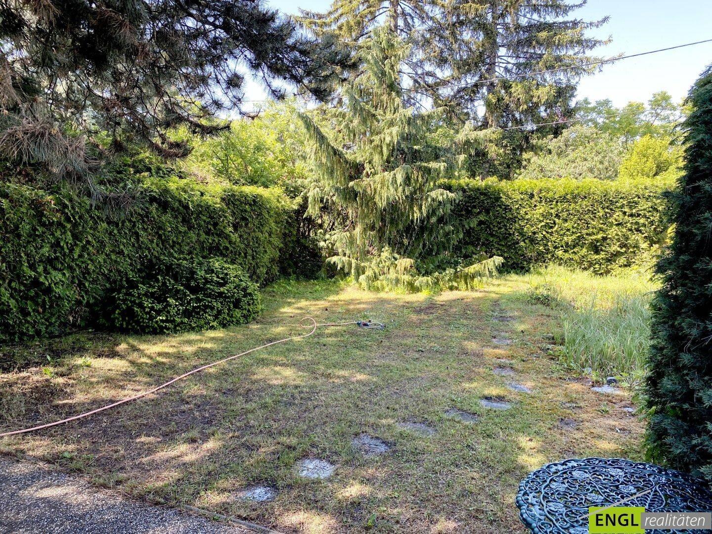 Ruhiger Gartenbereich mit Rasenfläche, umgeben von hohen Hecken und Bäumen.