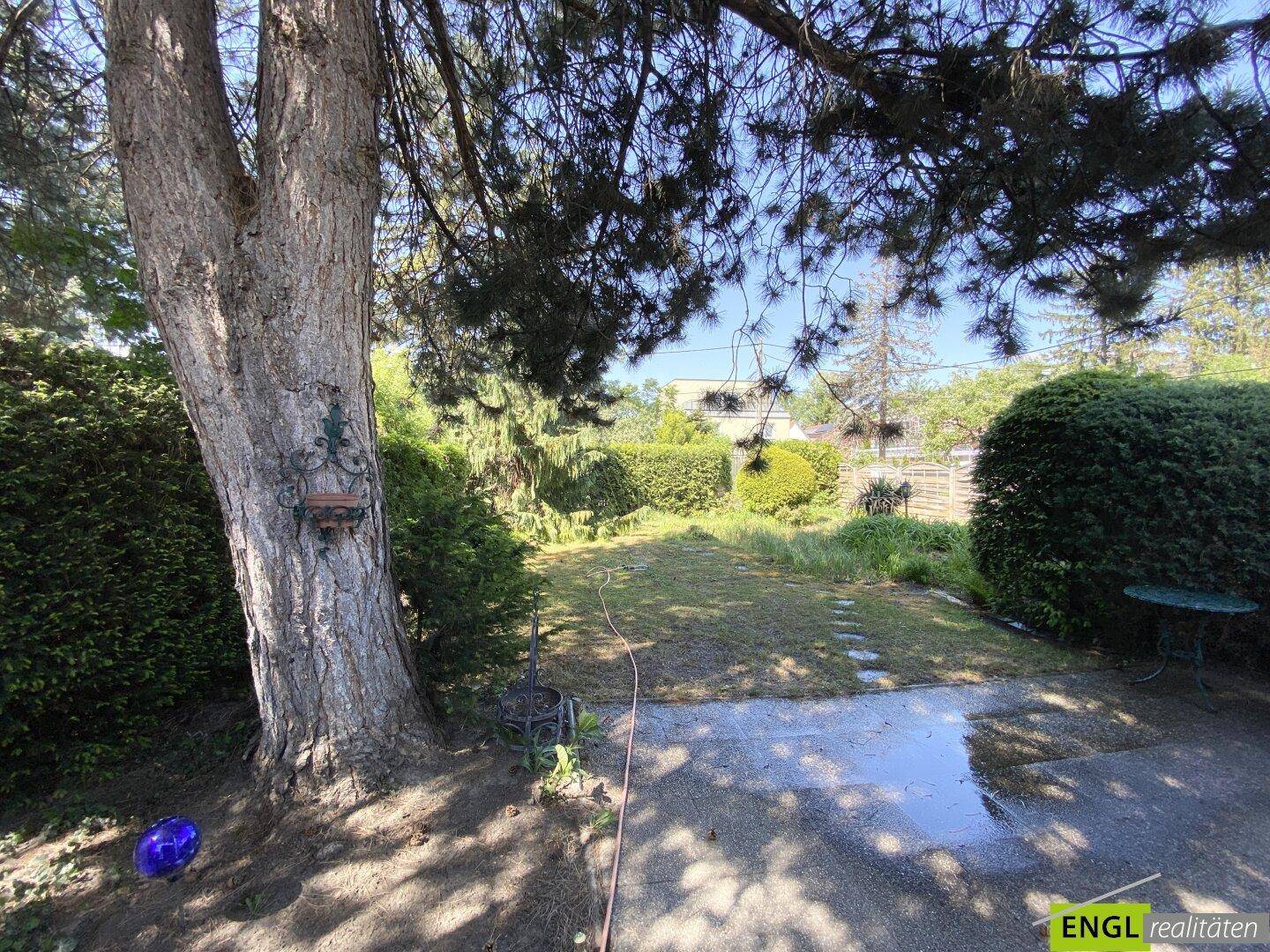 Weitläufiger Garten mit altem Baumbestand, gepflegtem Rasen und einer sonnigen, gepflasterten Fläche.
