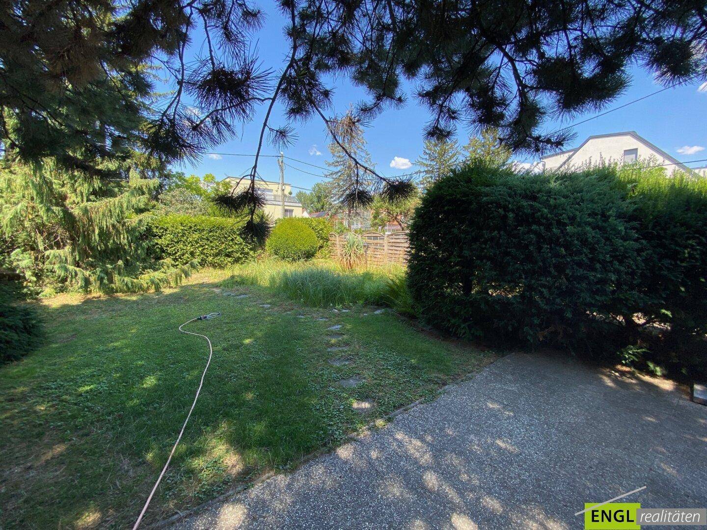 Sonniger Gartenbereich mit Rasenfläche, umgeben von hohen Hecken und Bäumen, ideal zum Entspannen.