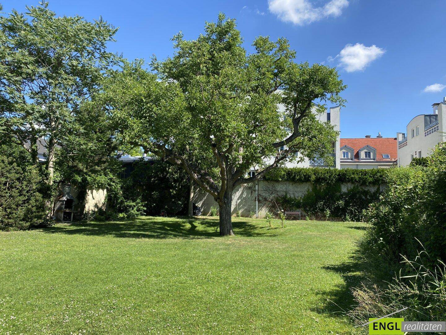 Großer, sonniger Garten mit altem Baum und viel Rasenfläche, umgeben von einer Mauer.