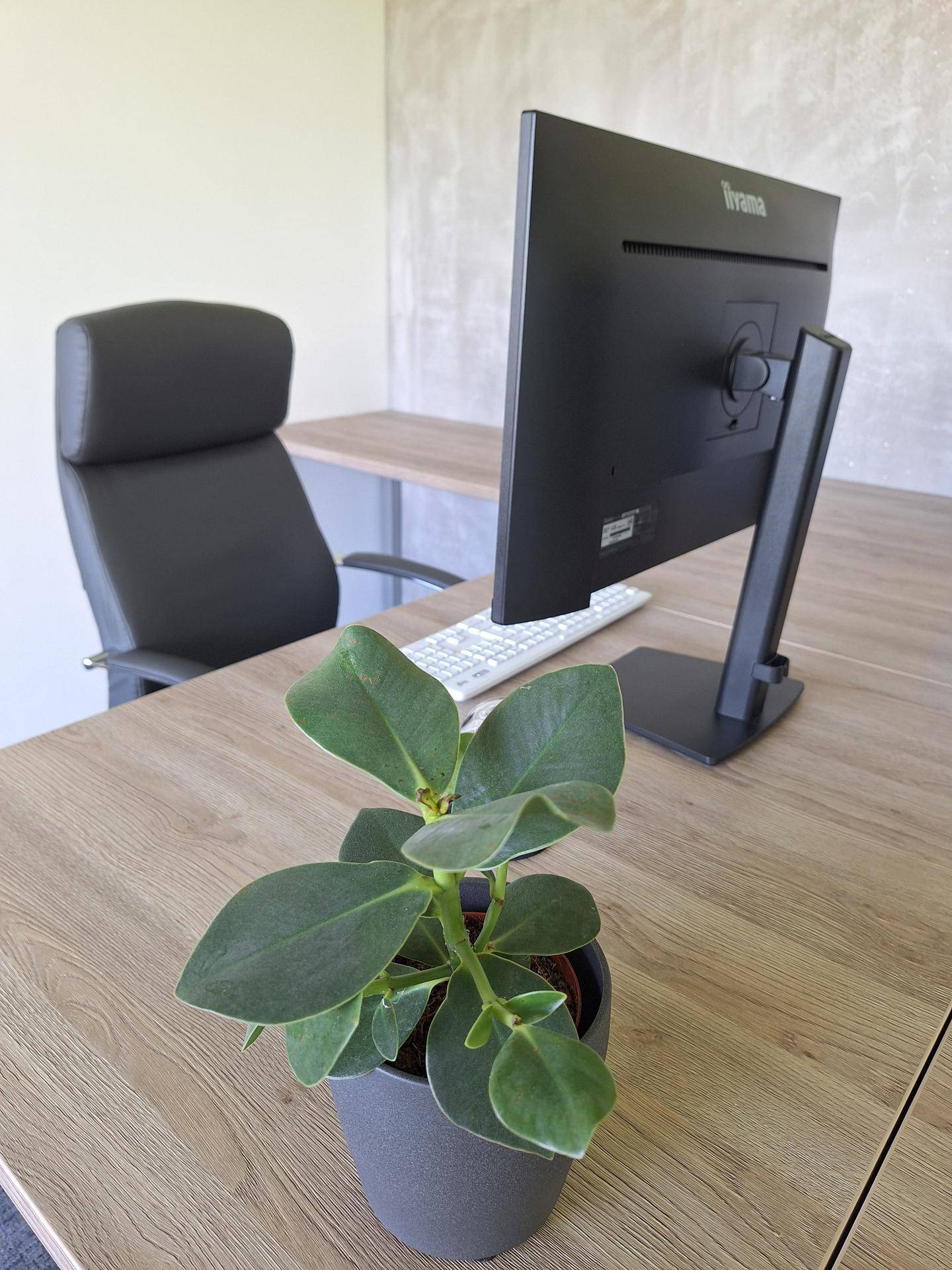Detailansicht eines Arbeitsplatzes mit Monitor, Tastatur und einer Zimmerpflanze auf dem hellen Schreibtisch.
