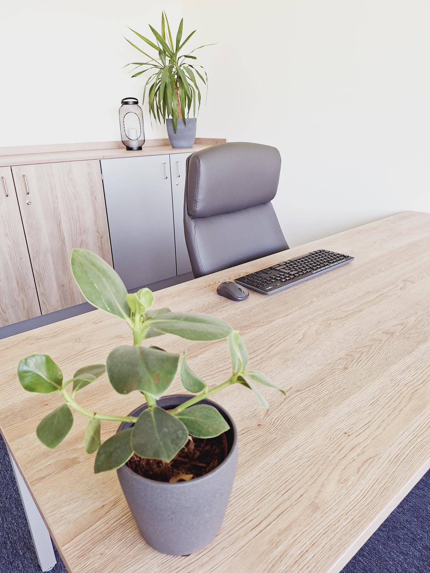 Nahaufnahme eines modernen Bürotisches mit einer Pflanze, Tastatur und einem ergonomischen Bürostuhl.