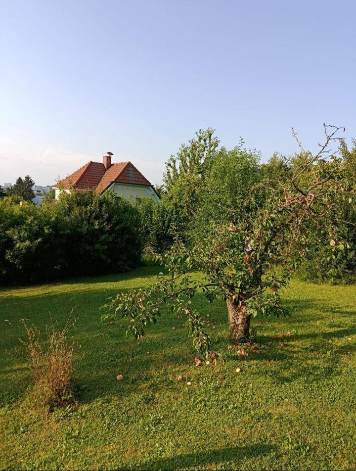 Kleine Stadtvilla in Ried im Innkreis - Widok 4