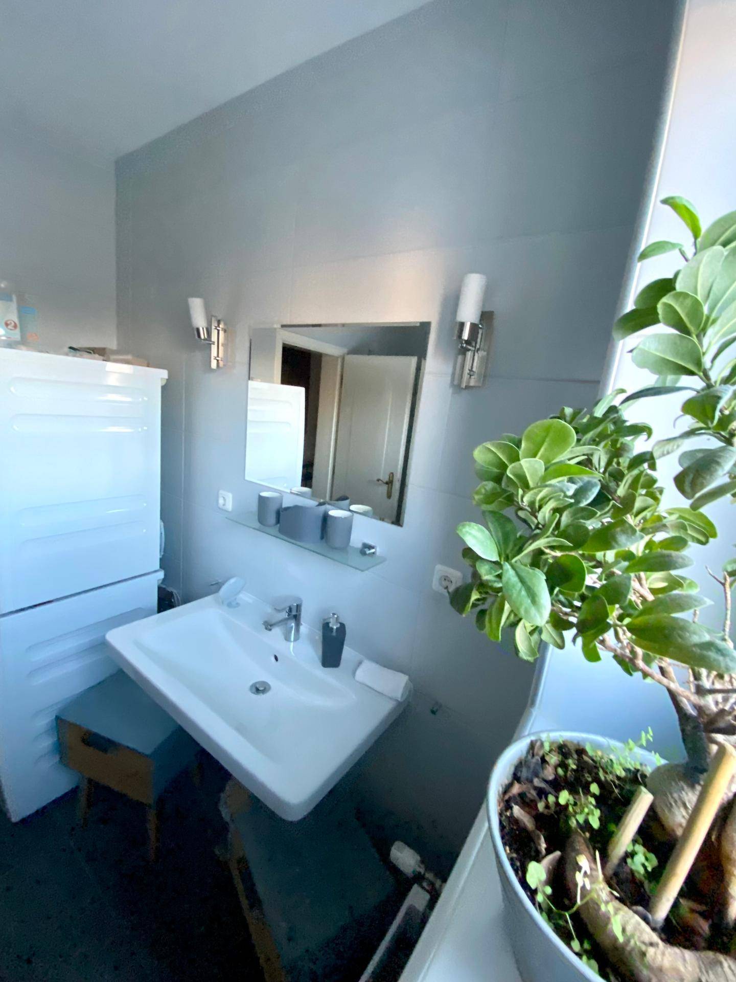 Helles Badezimmer mit Waschbecken, Spiegel und Fenster, dekoriert mit einer Zimmerpflanze.