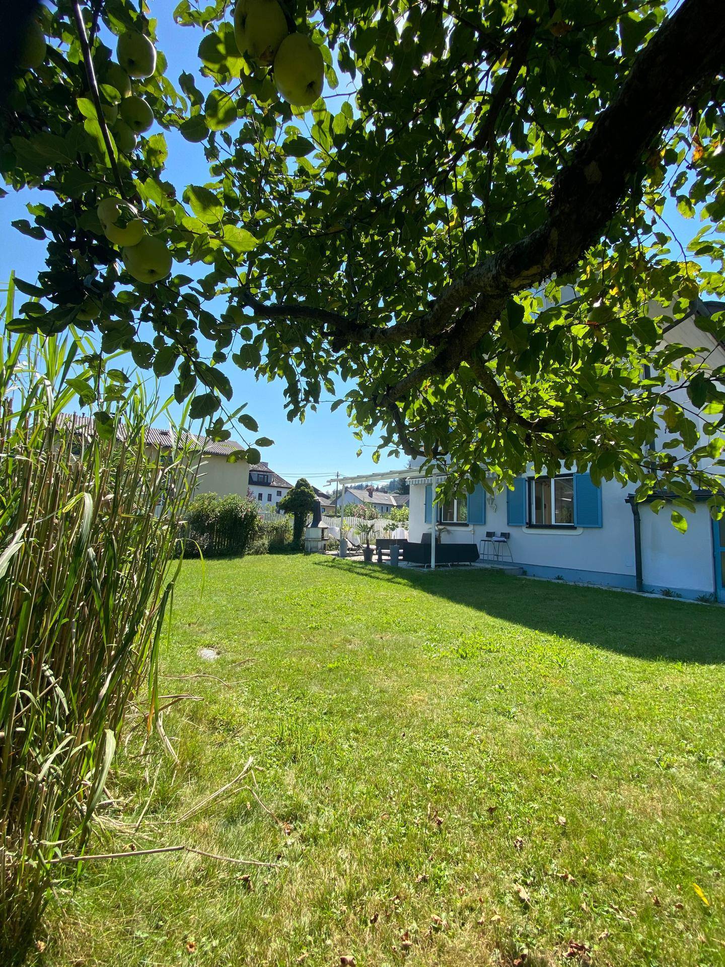 Weitläufiger grüner Garten mit altem Baumbestand und Blick auf das Wohnhaus.