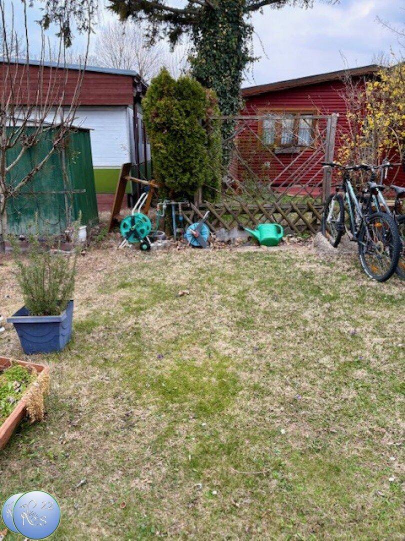Gepflegter Gartenbereich mit Rasenfläche, Hecke und Gartengeräten im Hintergrund.