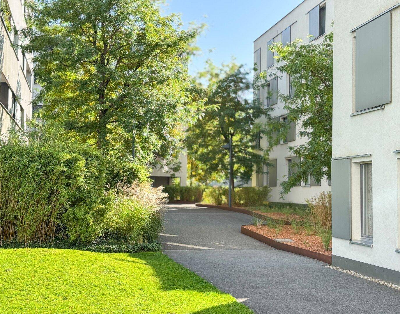 Gepflegte Außenanlage einer Wohnsiedlung mit viel Grün und sonnigen Wegen zwischen den Gebäuden.