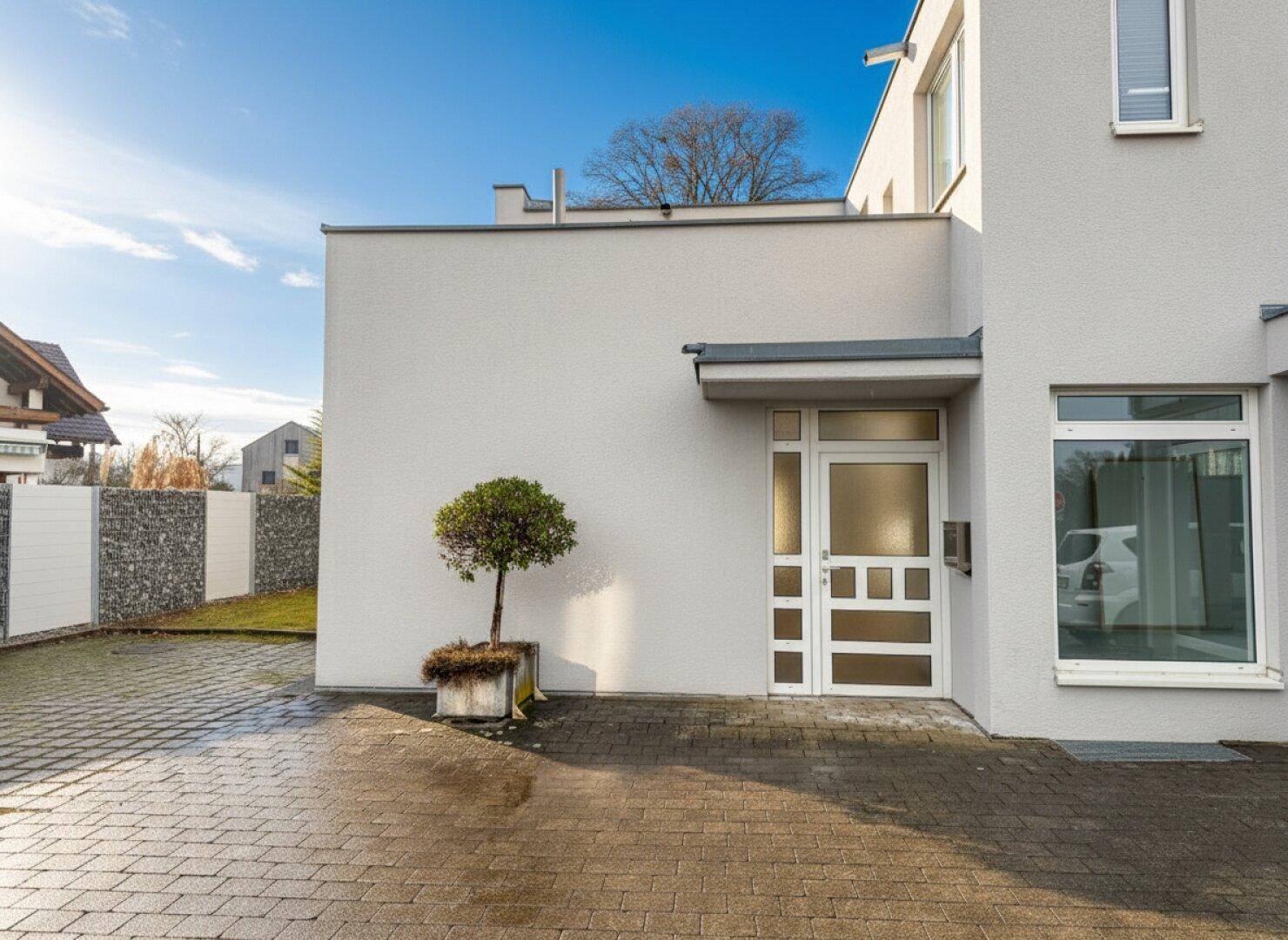 Eingangsbereich eines modernen Gebäudes mit gepflastertem Vorplatz und einer kleinen Pflanze.
