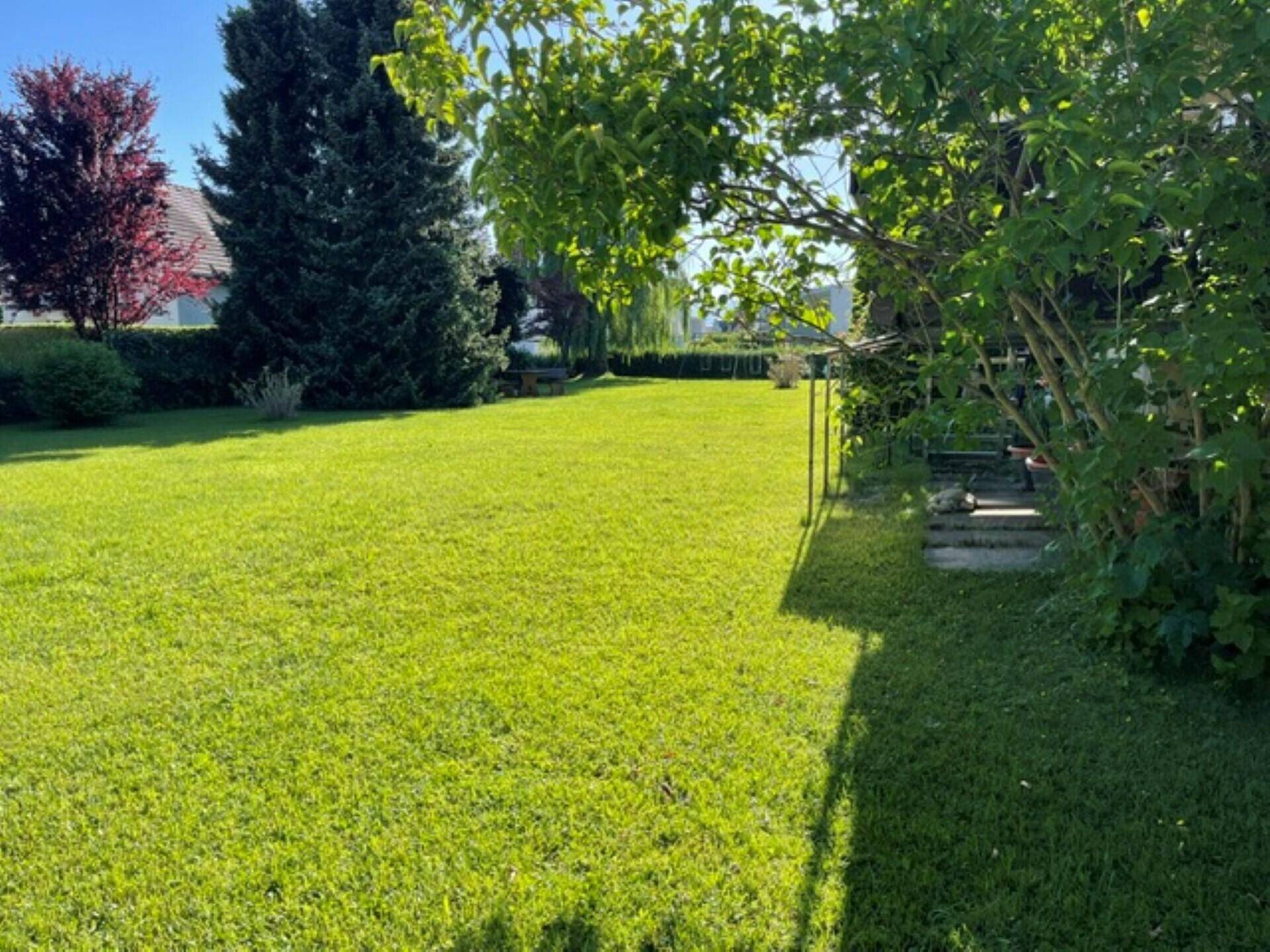 Großer, sonniger Garten mit gepflegtem Rasen und altem Baumbestand.