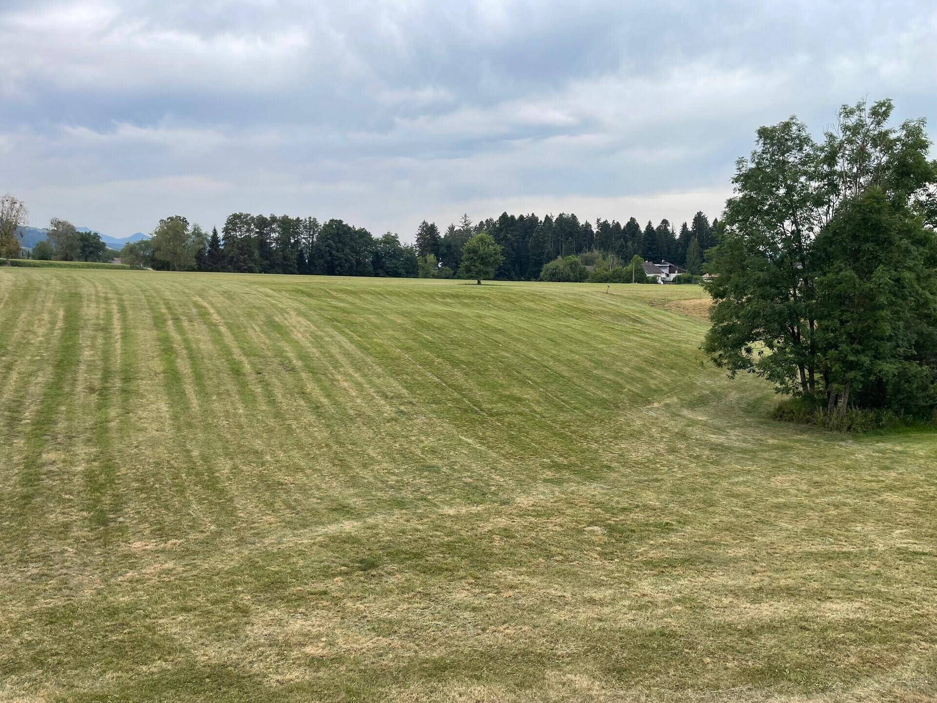 Panoramablick auf die weiten grünen Wiesen und Wälder in der Ferne unter einem bewölkten Himmel.