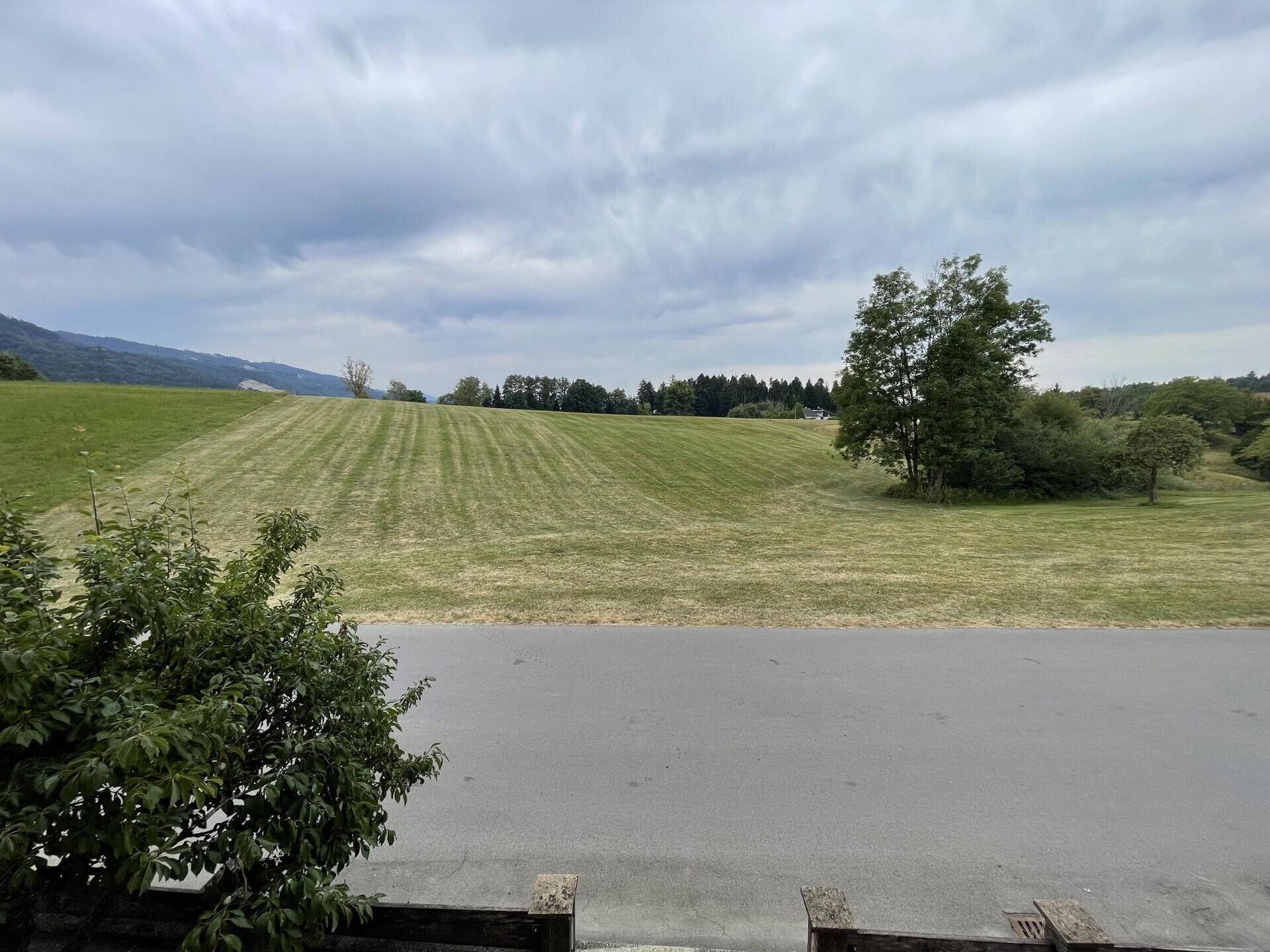 Weitläufiger Blick über grüne, gemähte Felder und sanfte Hügel unter einem bewölkten Himmel.