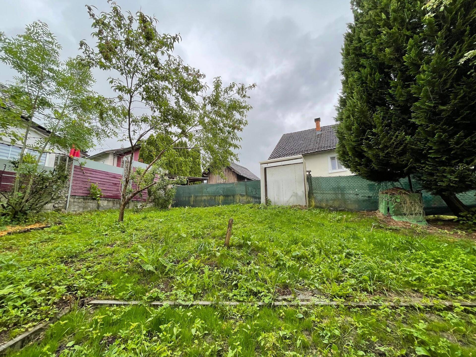 Naturbelassener Gartenbereich mit viel Grün, Bäumen und einem kleinen Schuppen im Hintergrund.