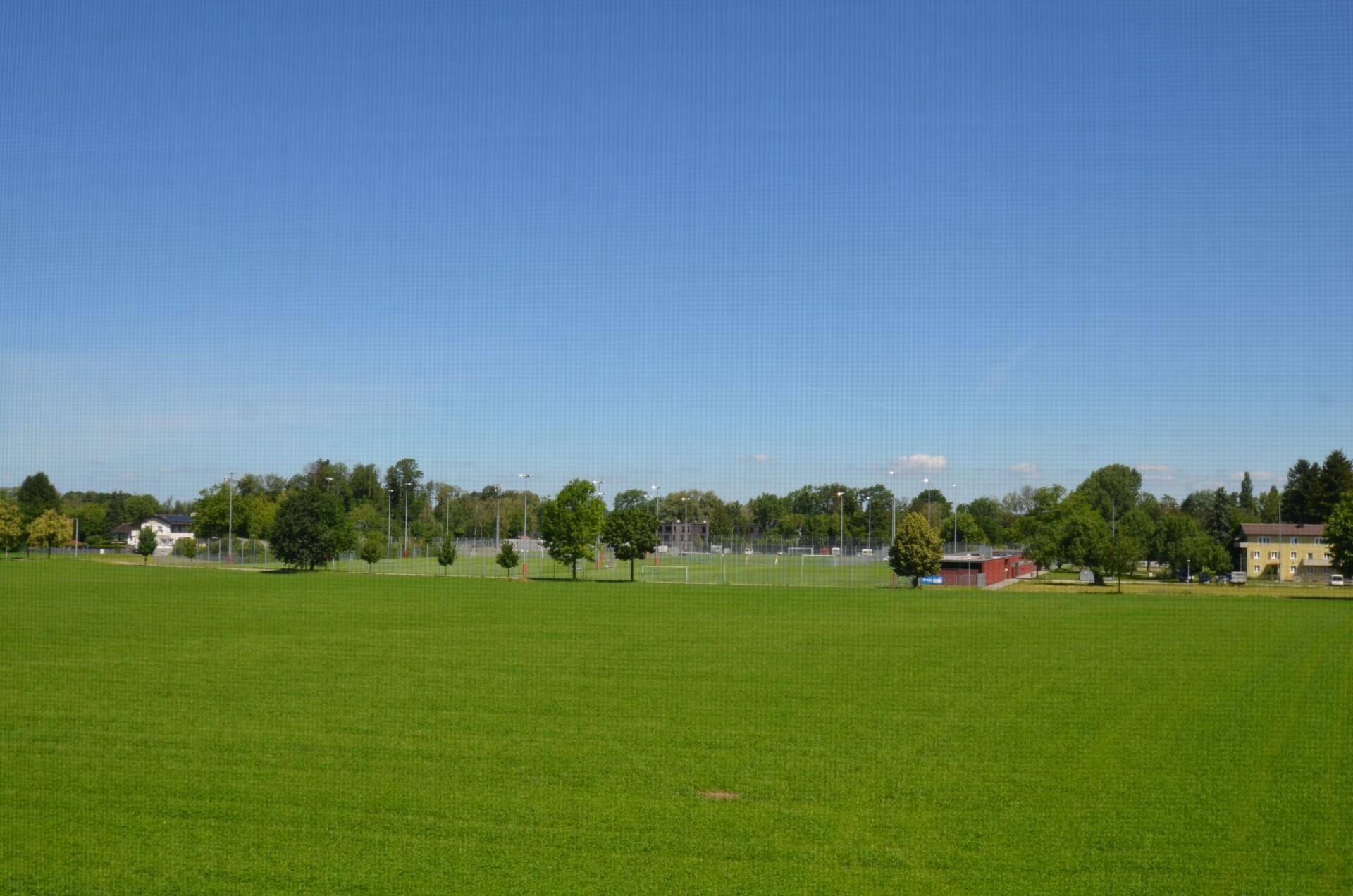 Weitläufige grüne Landschaft mit einem Sportplatz und Bäumen in der Ferne.