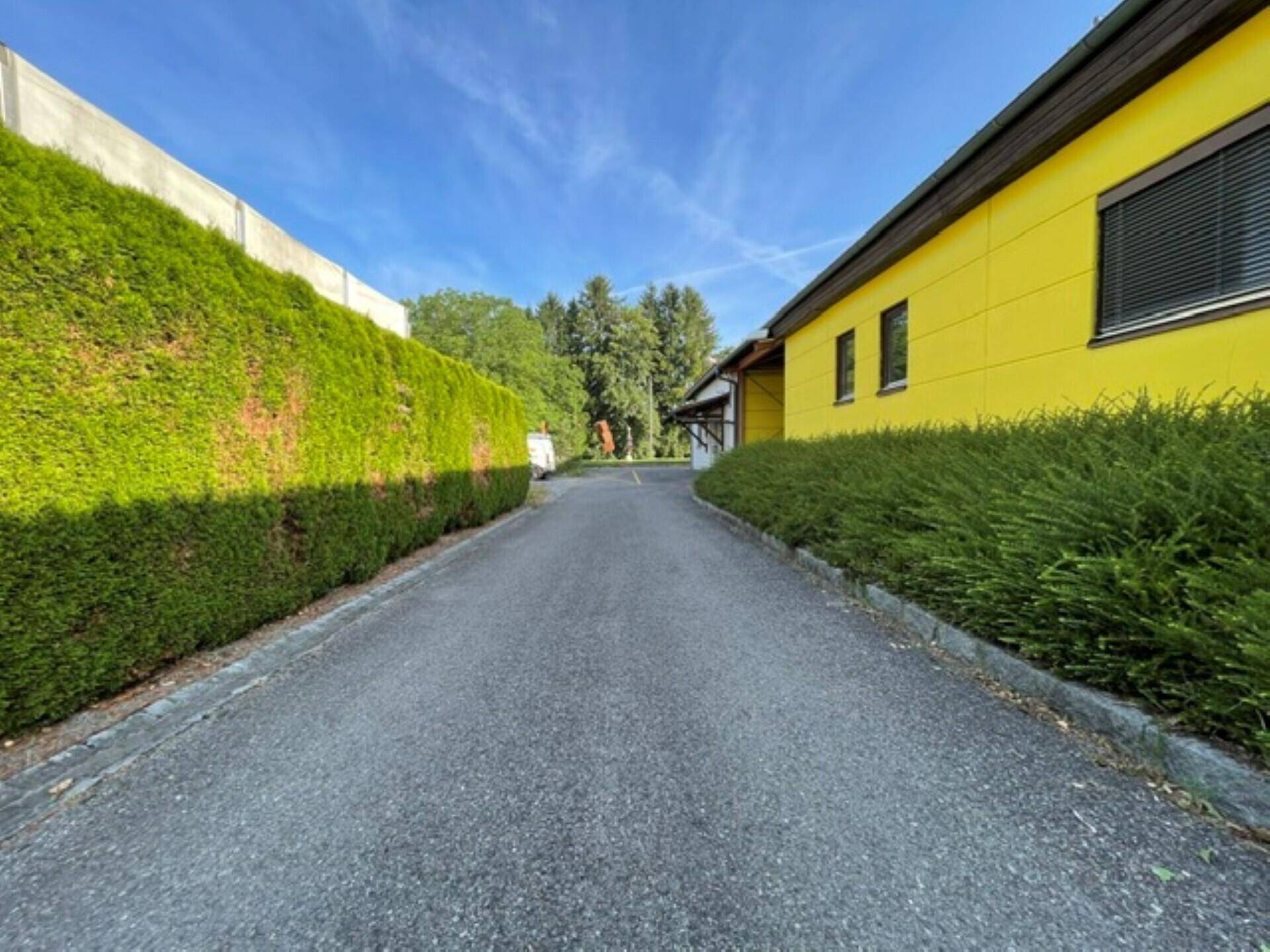 Zufahrt neben einem Gebäude mit gelber Fassade und einer hohen grünen Hecke unter blauem Himmel.