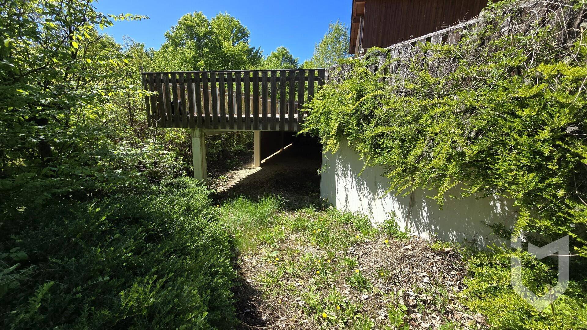 Blick unter den erhöhten Bereich des Hauses mit Holzkonstruktion und üppiger Vegetation im Garten.