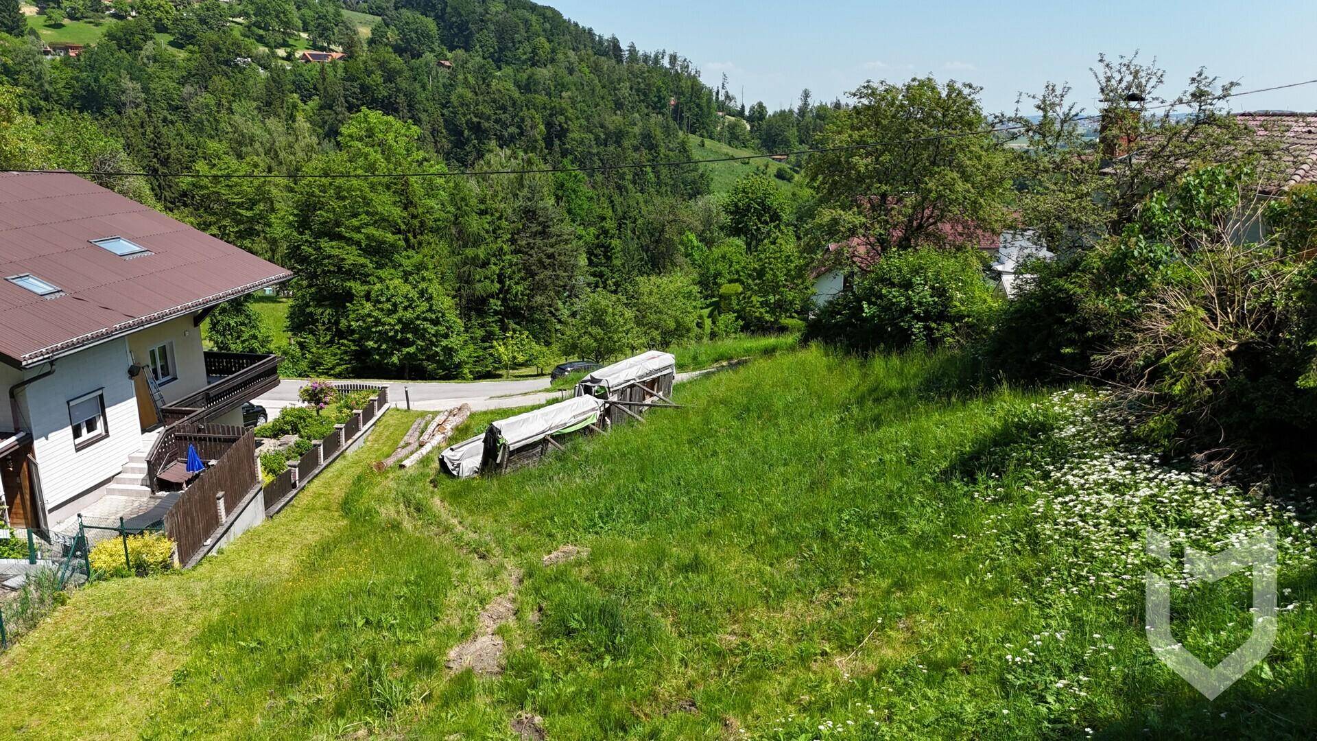 FOTO_3