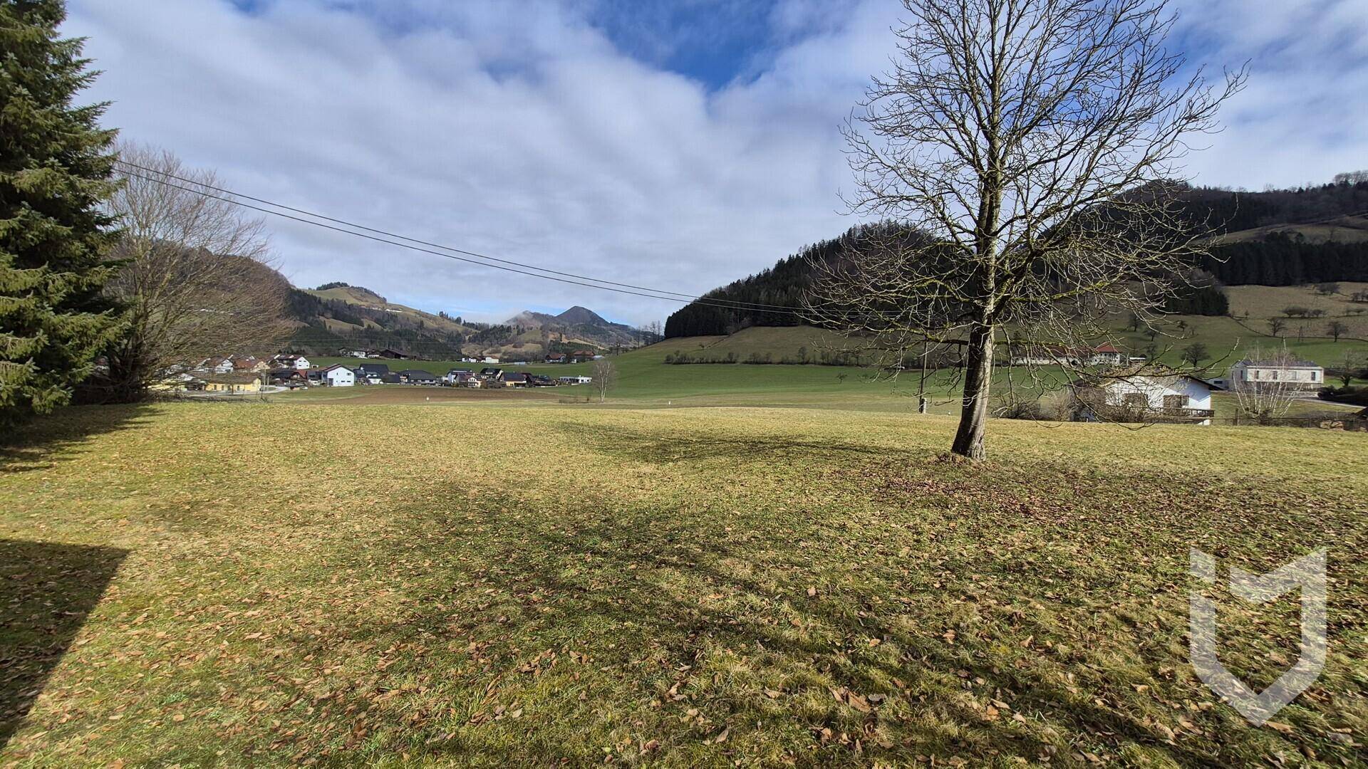 Weite grüne Wiesenlandschaft mit einem einzelnen Baum, umgeben von Hügeln und Bergen.