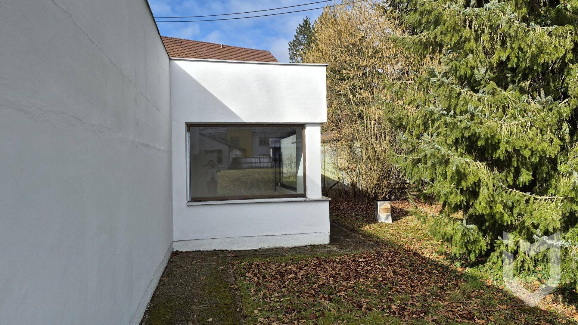 Außenansicht des weißen Gebäudes mit einem großen Fenster und trockenem Laub auf dem Boden.