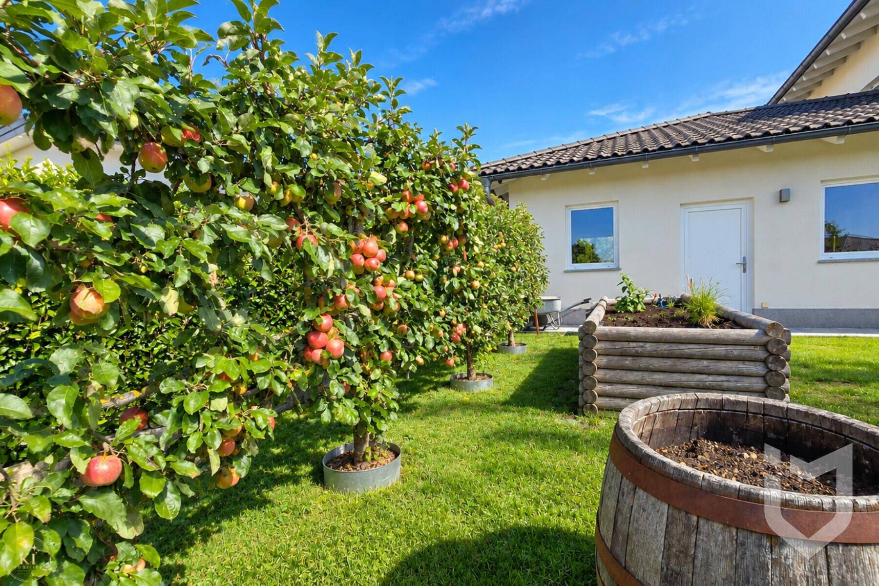 Gepflegter Gartenbereich mit Apfelbäumen, Hochbeet und Holzfass als Dekoration.