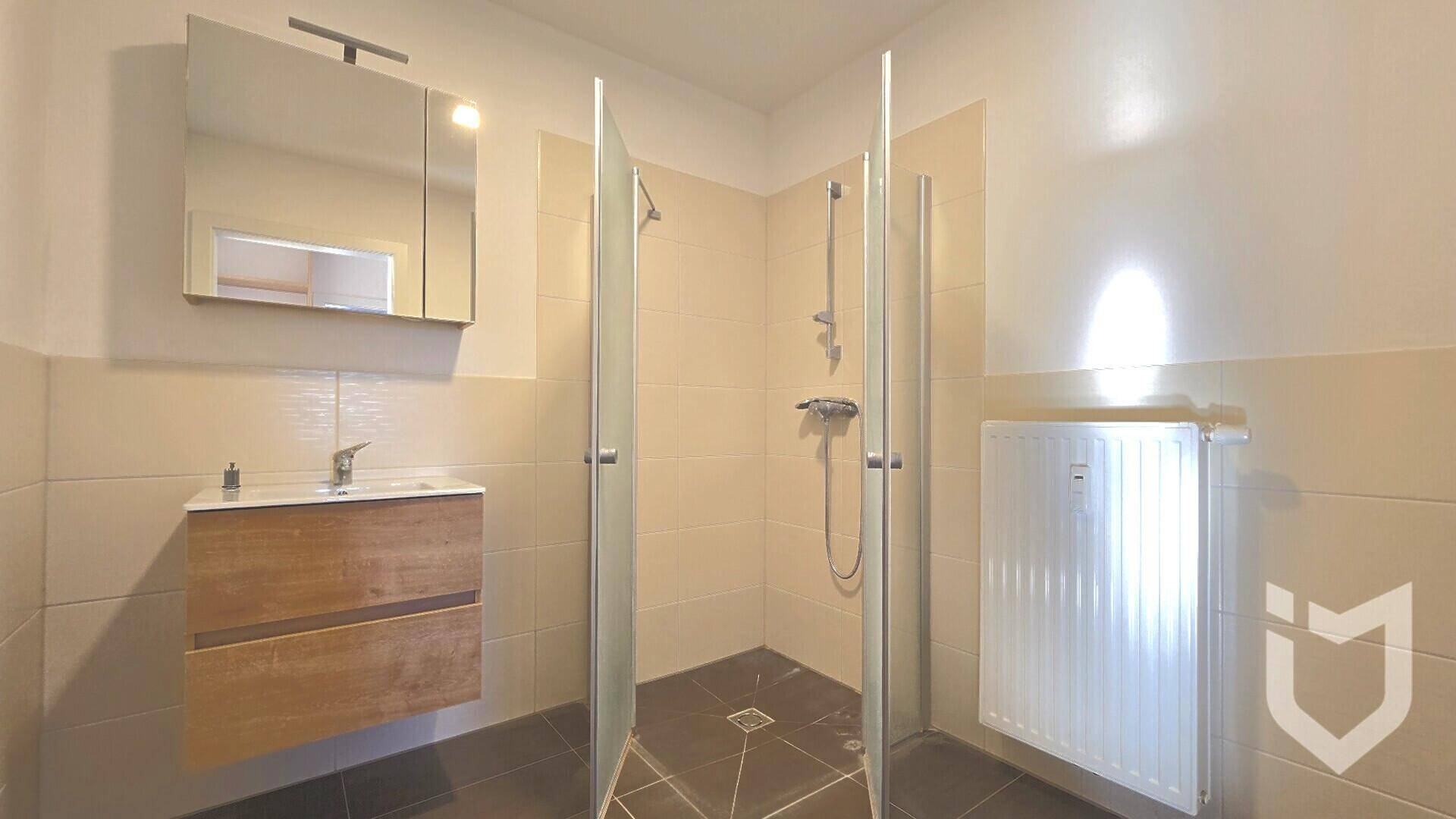 Modernes Badezimmer mit ebenerdiger Dusche, Einzelwaschbecken und Spiegelschrank.