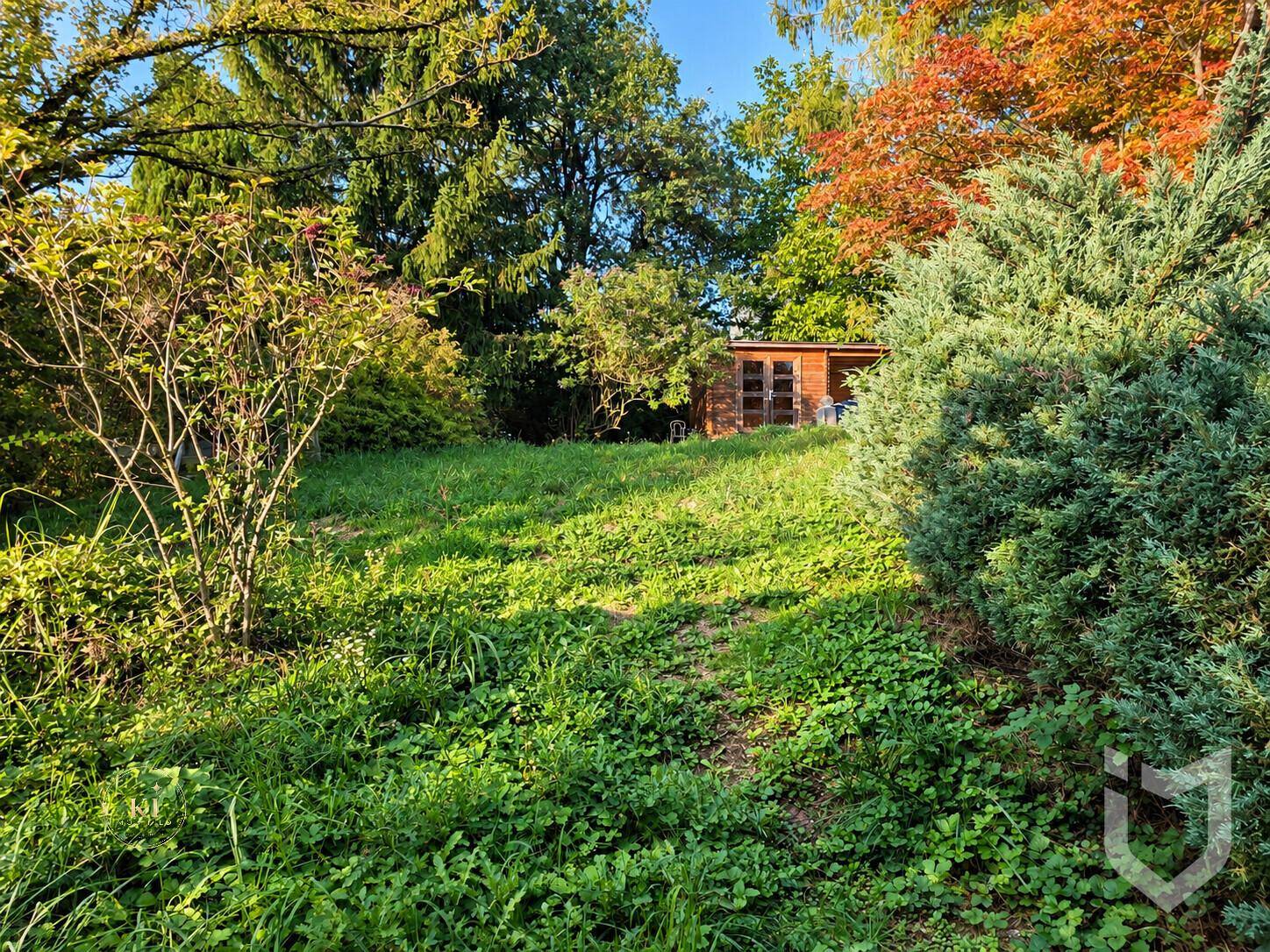 Garten IST-Zustand