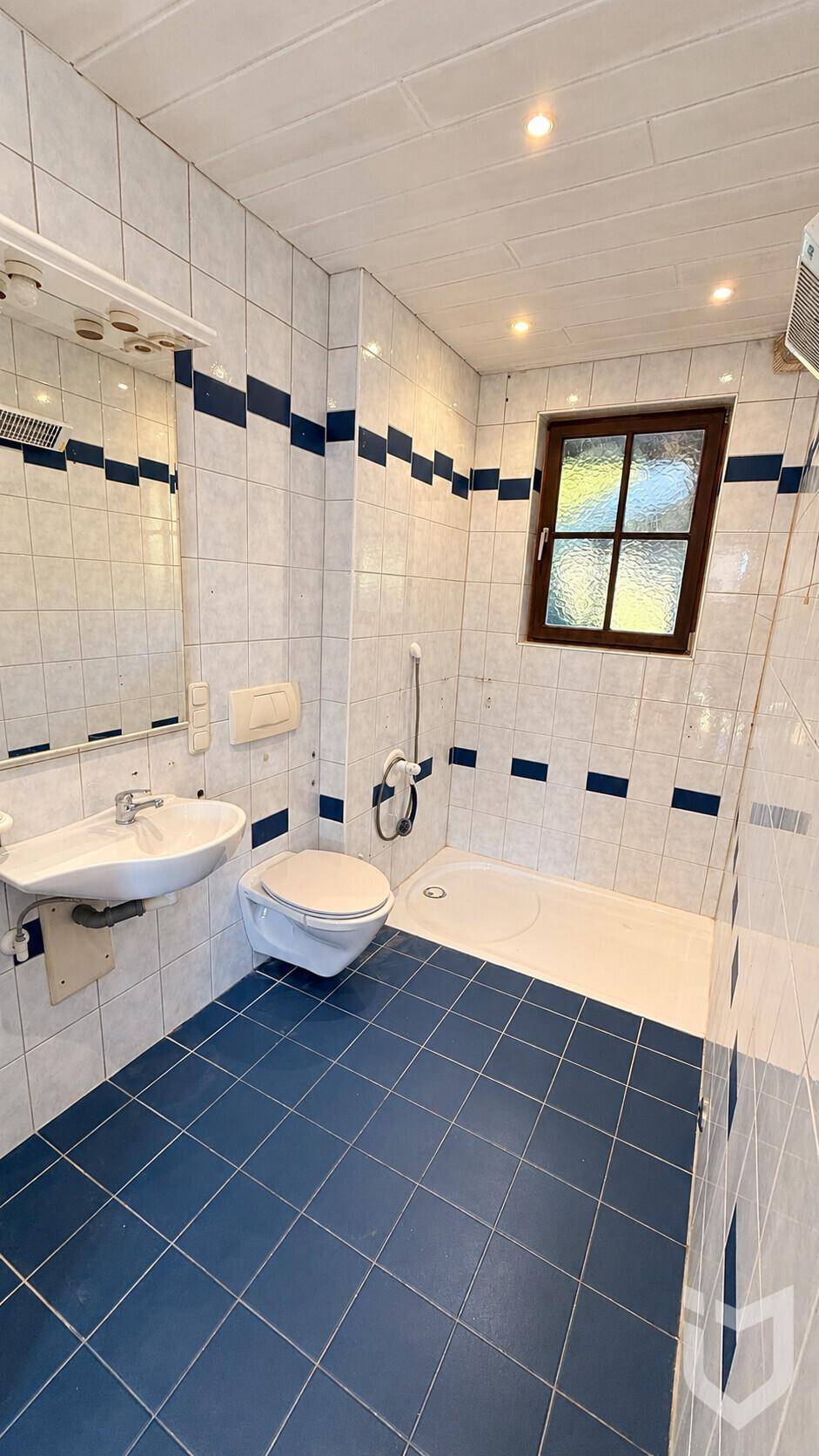 Badezimmer mit blauen und weißen Fliesen, Dusche und WC.