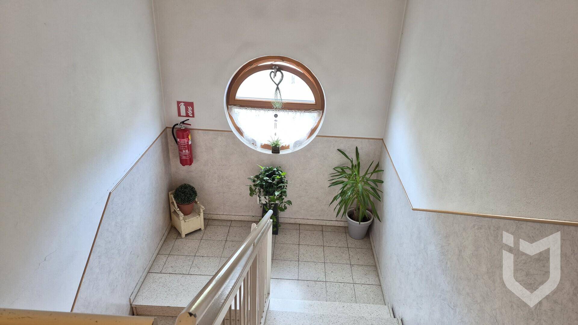 Helles Treppenhaus mit runden Fenstern, Fliesenboden und Pflanzen als Dekoration.